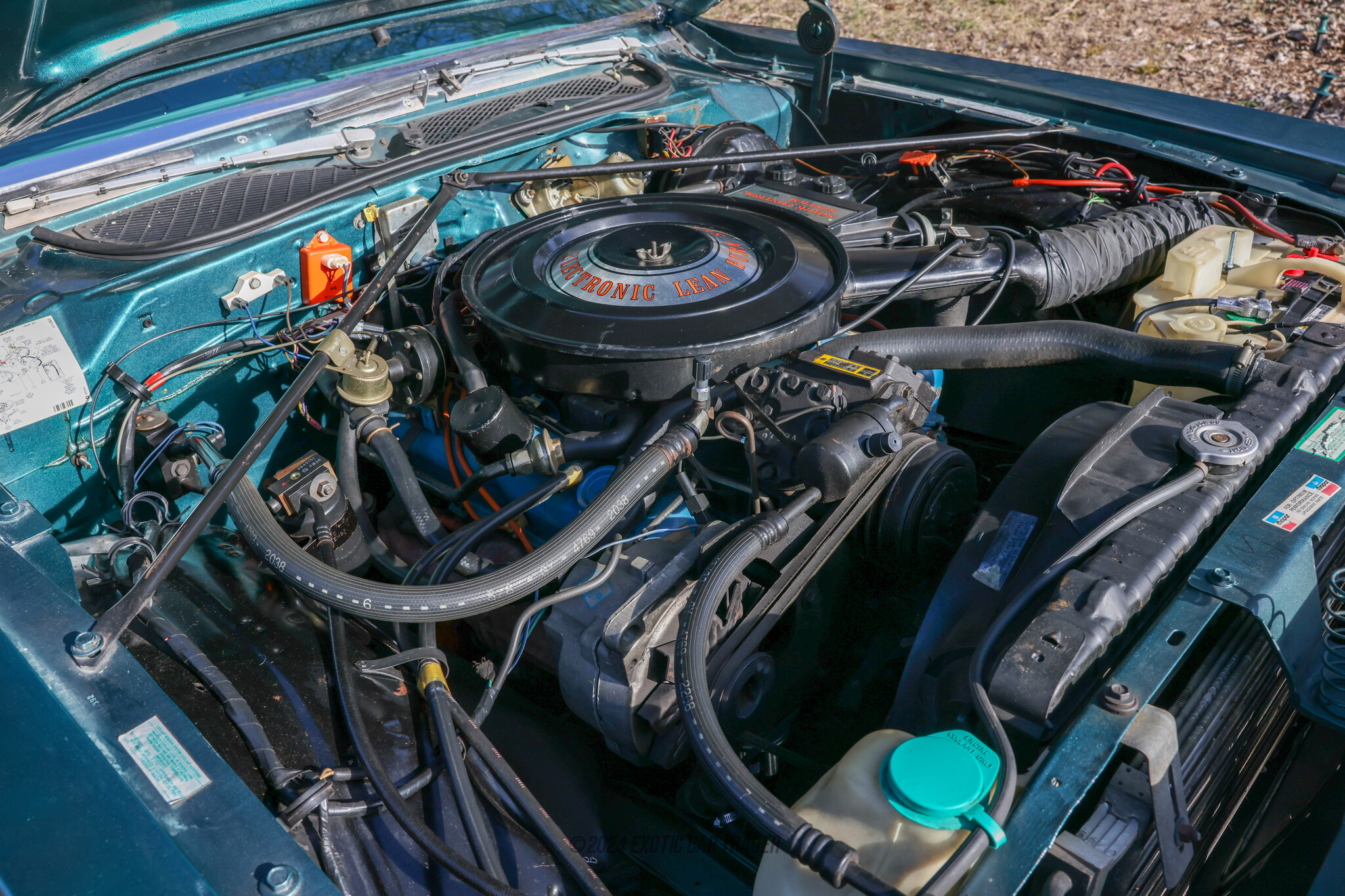 1979 Dodge Magnum - Engine Photo