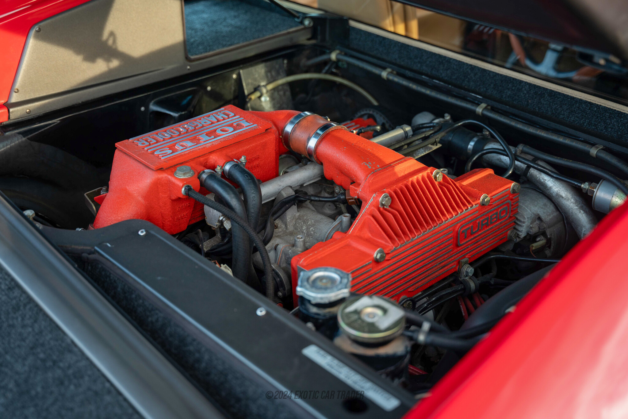 1989 Lotus Esprit - Engine Photo