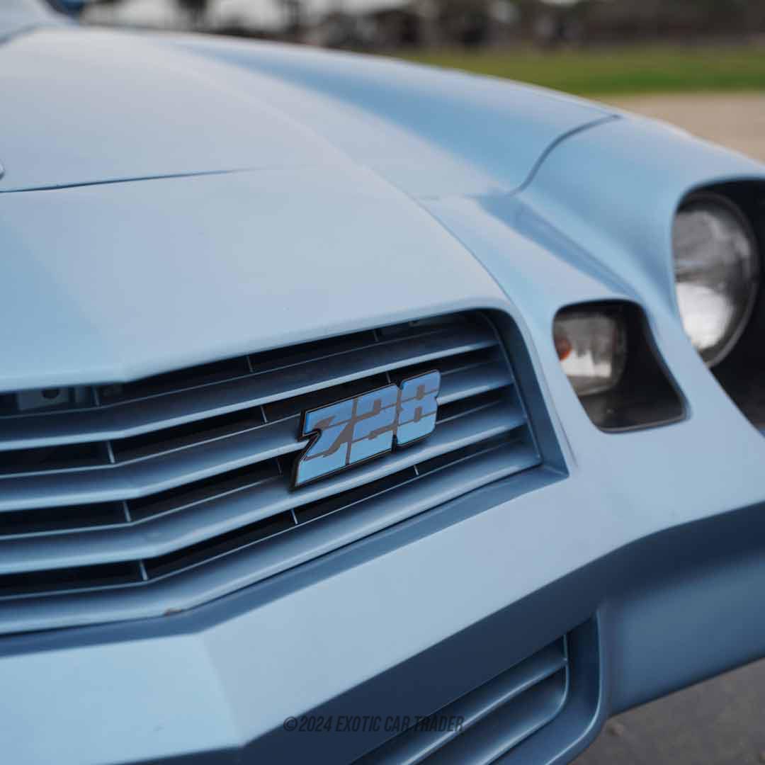 1981 Chevrolet Camaro - Engine Photo