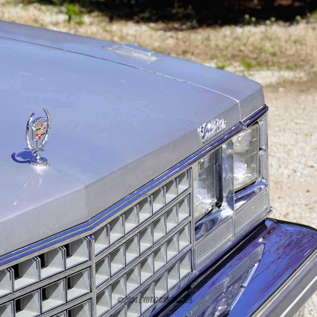 1976 Cadillac Seville - Engine Photo