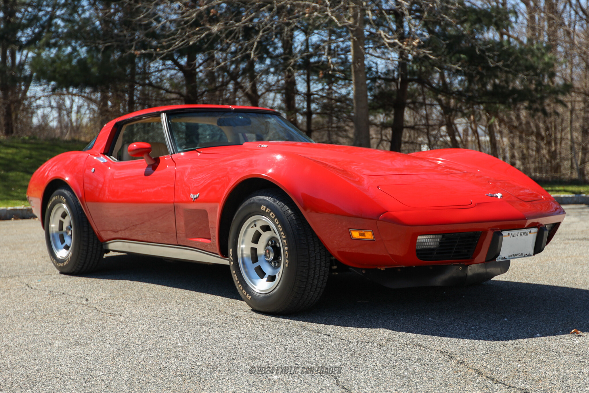 1979 Chevrolet Corvette - Overview Photo