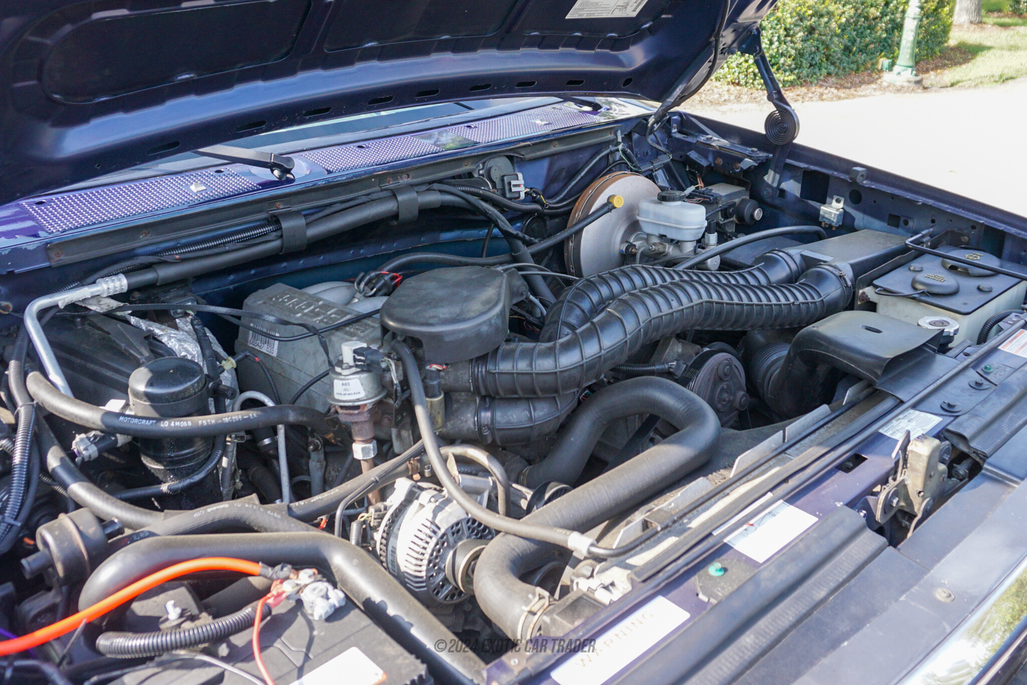 1995 Ford Bronco - Engine Photo