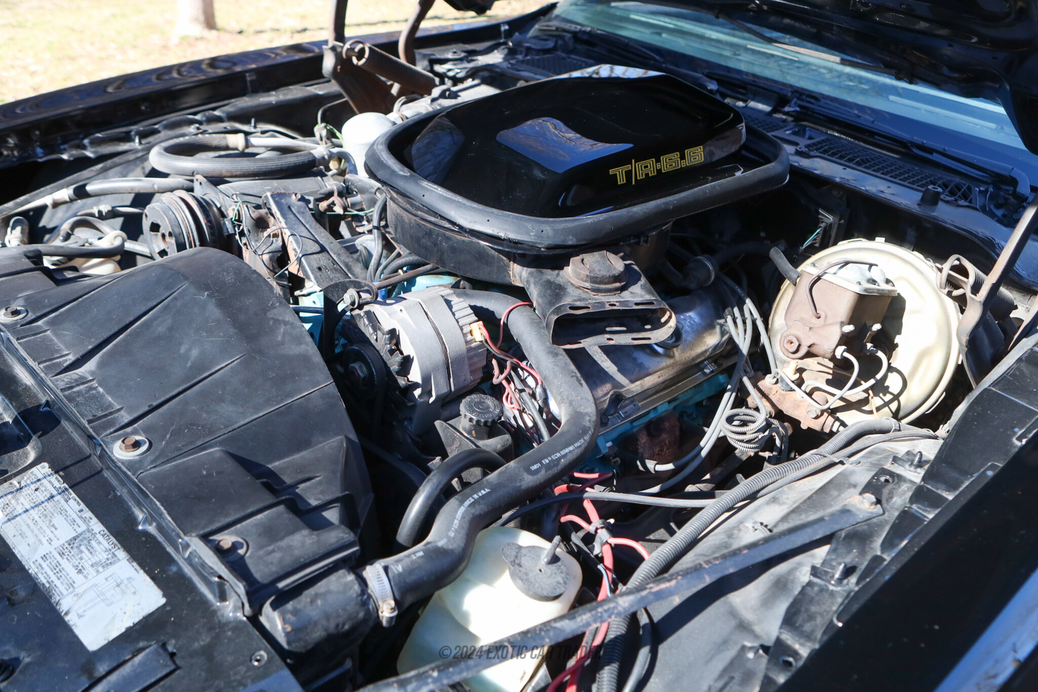 1978 Pontiac Firebird - Engine Photo