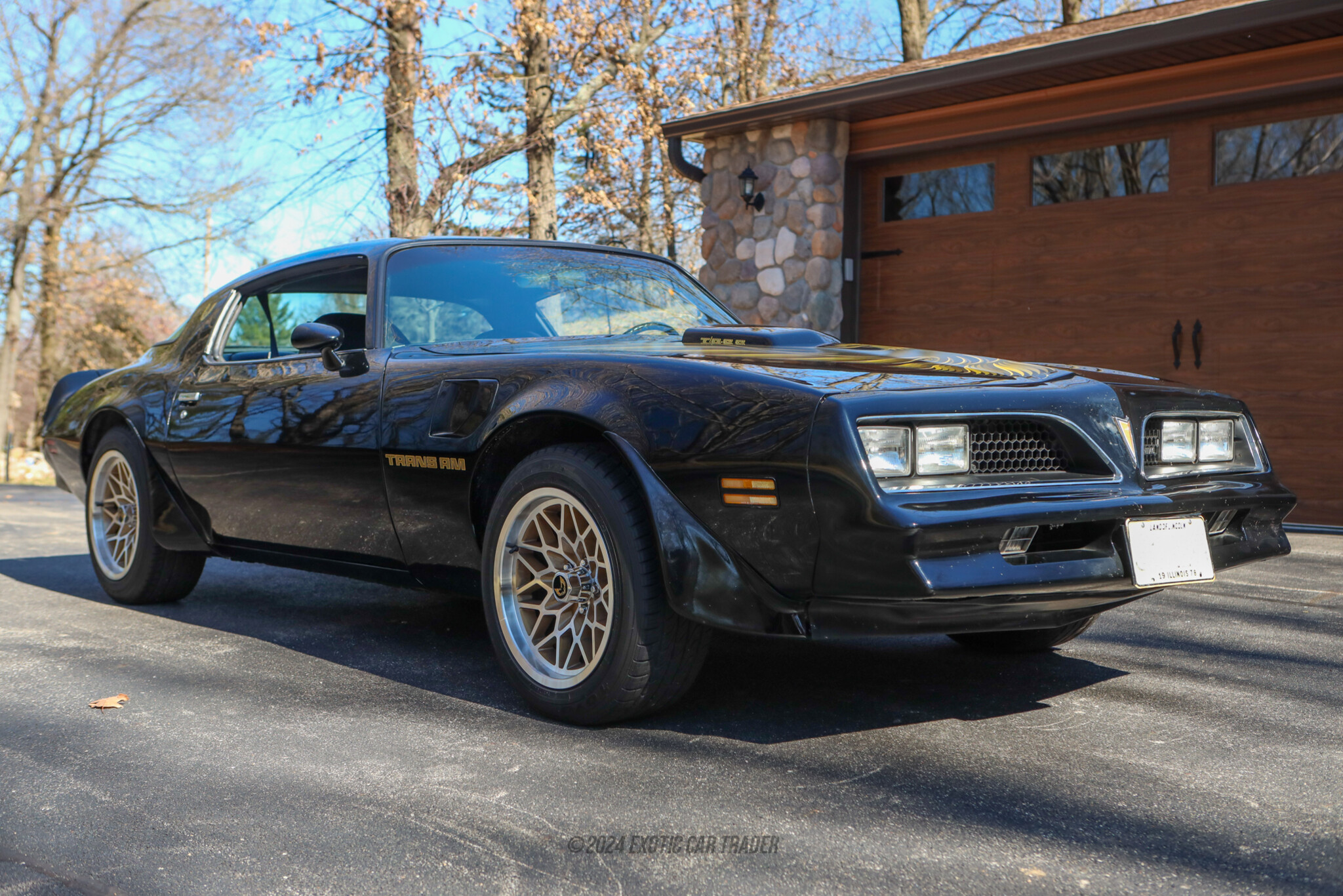 1978 Pontiac Firebird - Overview Photo