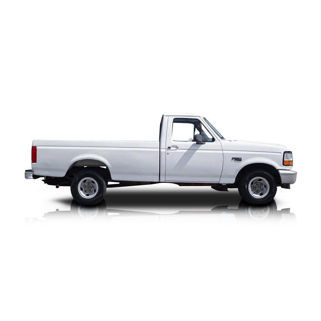 1995 Ford F-150 - Passenger side