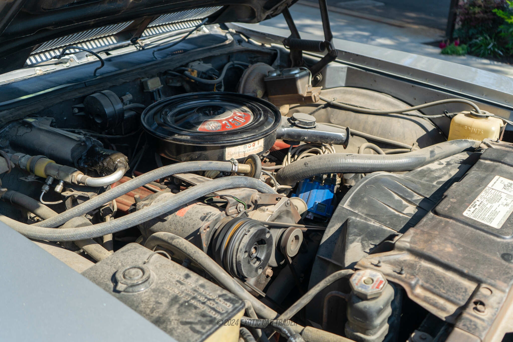 1971 Buick  Skylark - Engine Photo