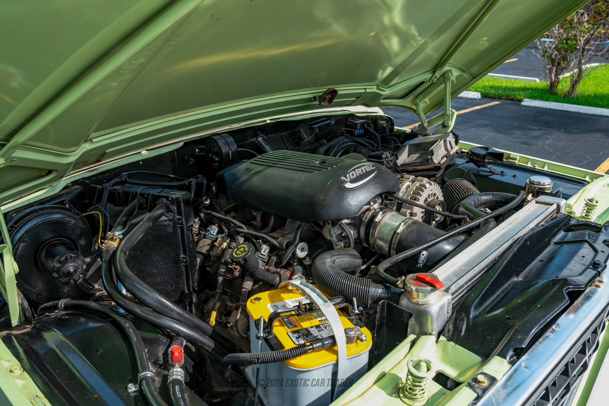 1979 Jeep Wagoneer - Engine Photo