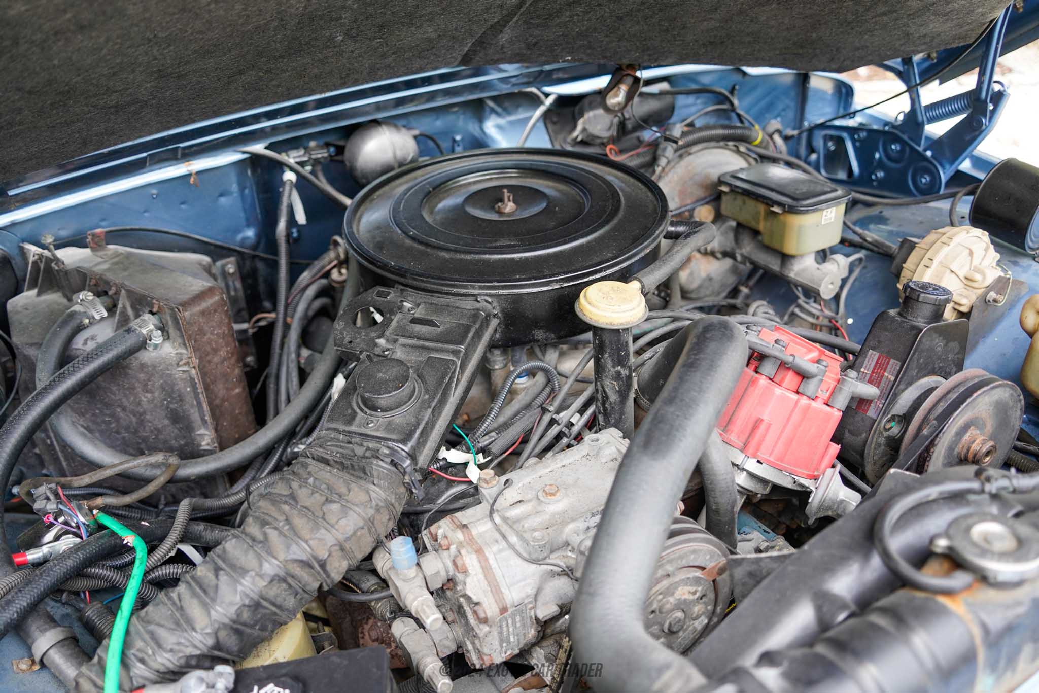1984 Jeep Grand Wagoneer - Engine Photo