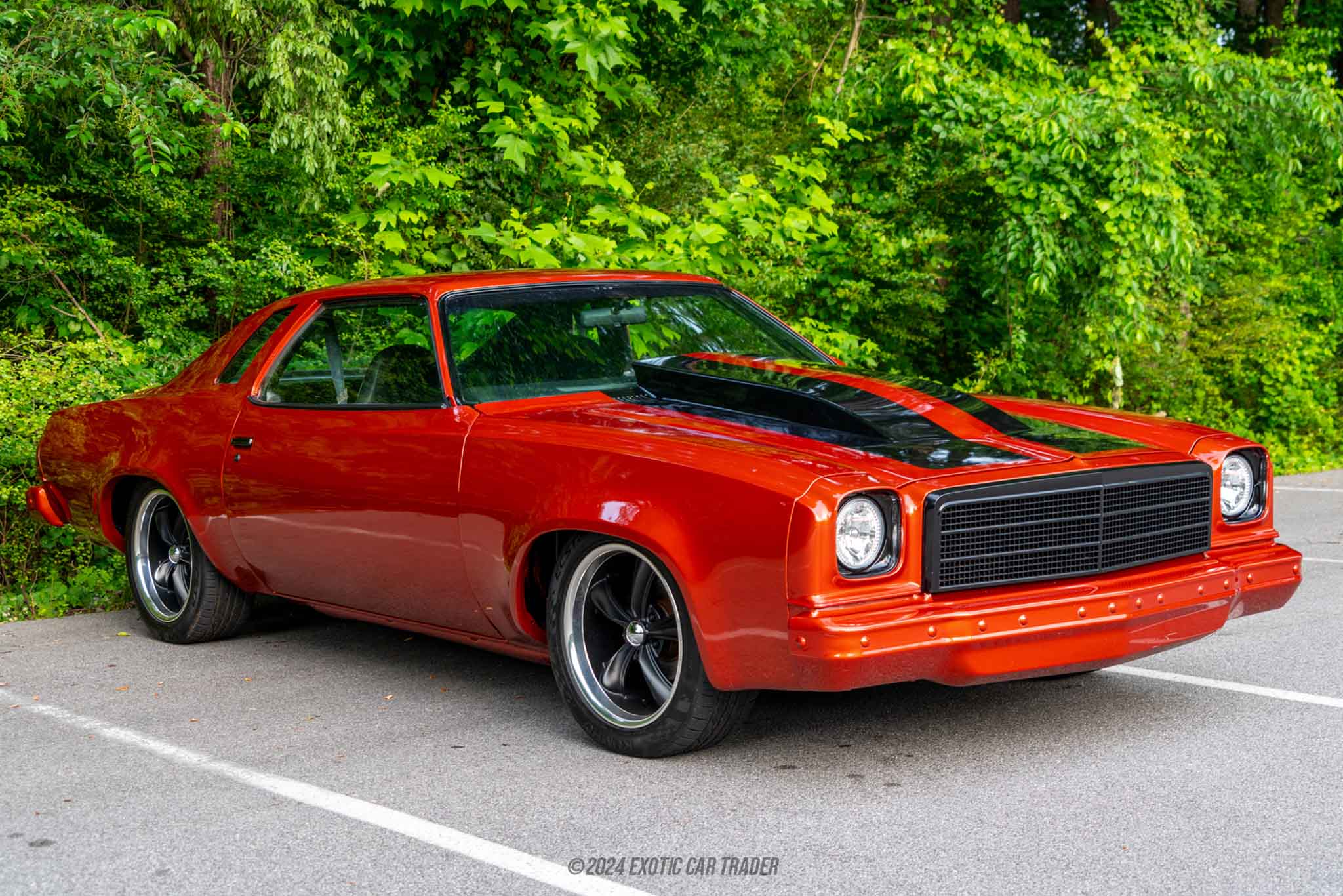 1974 Chevrolet Malibu - Overview Photo