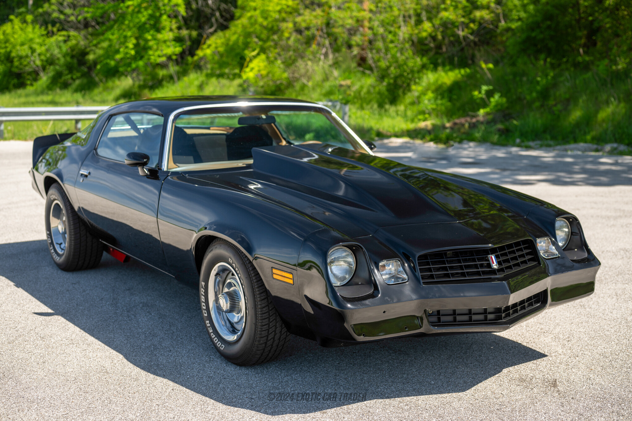 1979 Chevrolet Camaro - Overview Photo