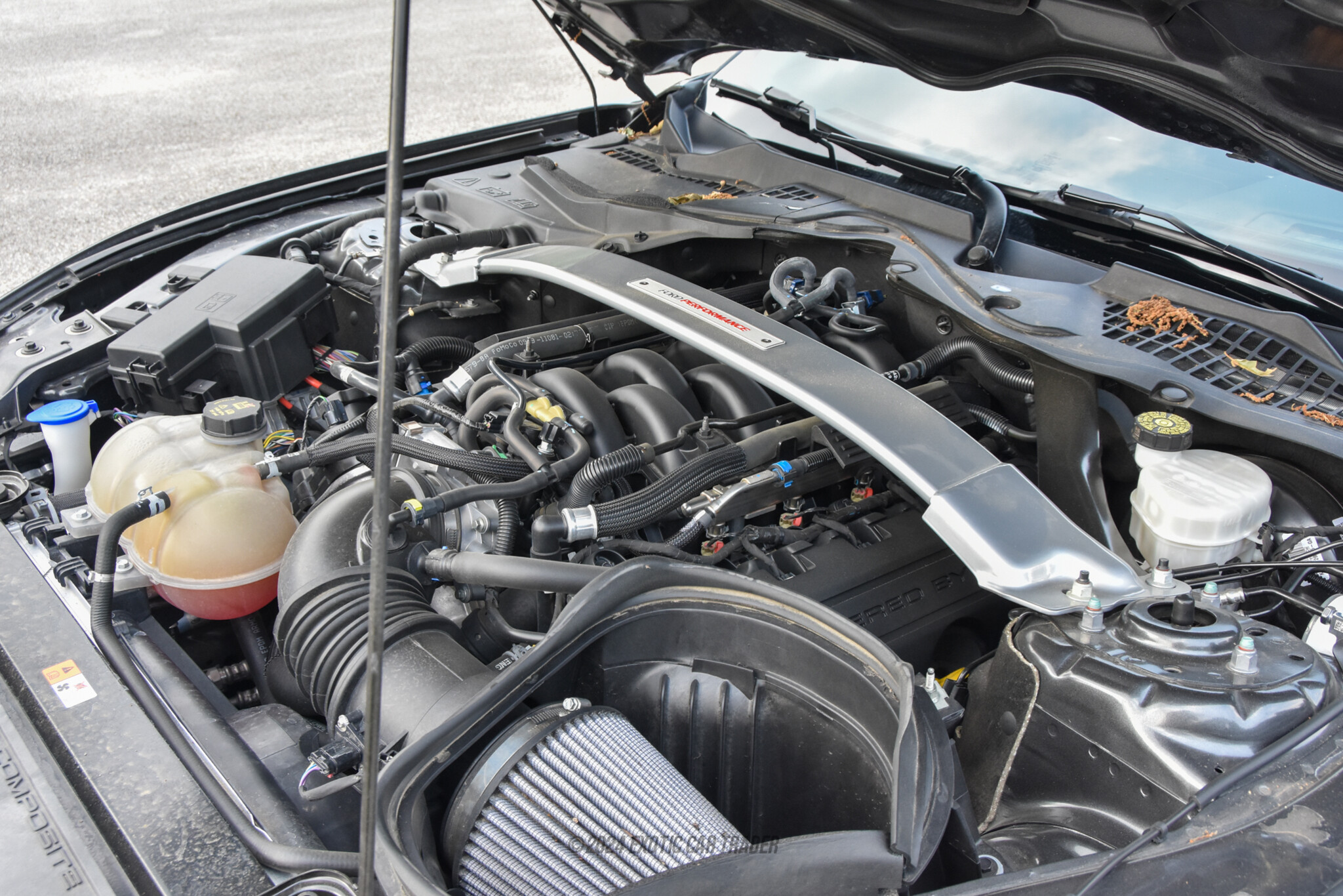 2019 Ford Mustang - Engine Photo