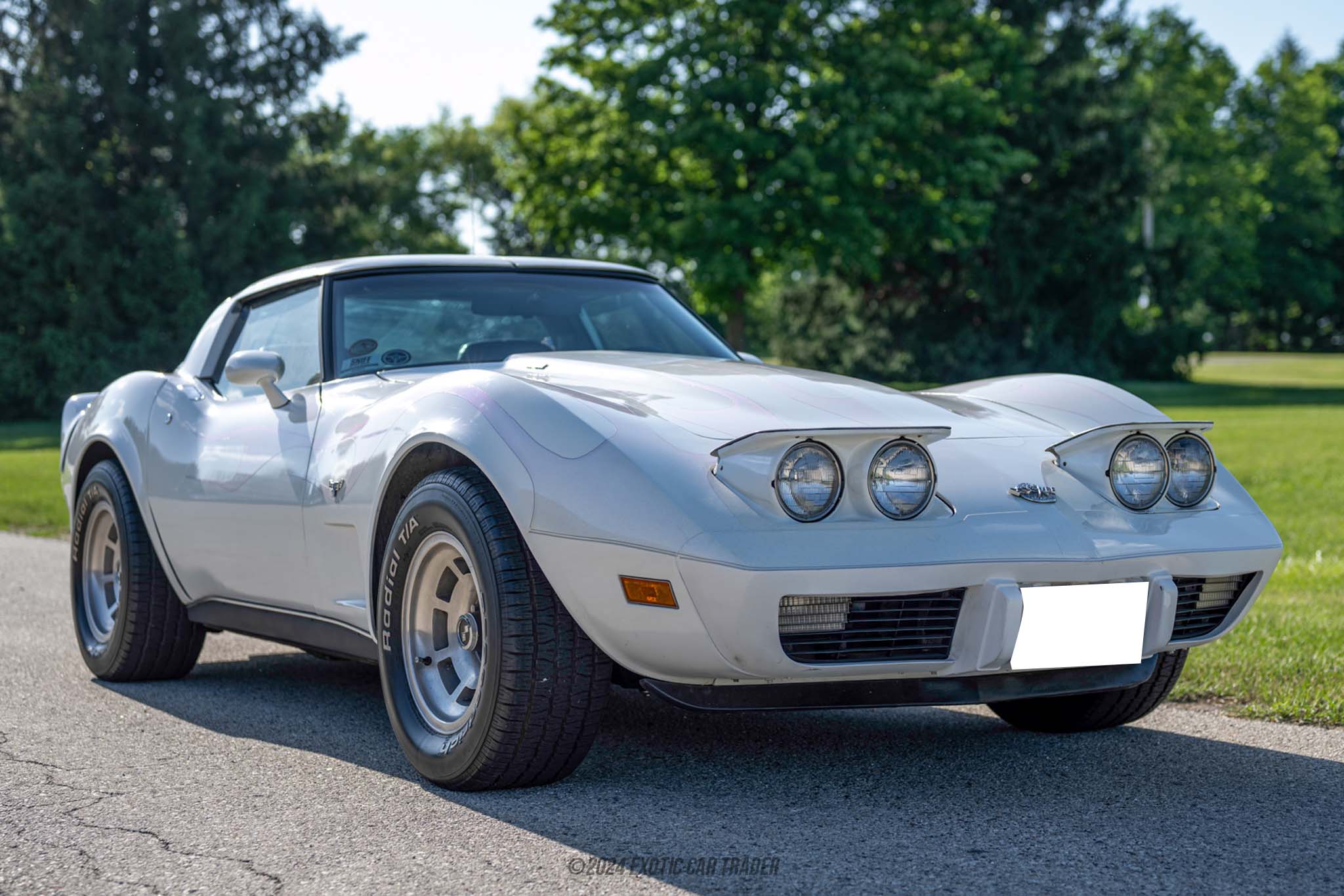 1978 Chevrolet Corvette - Overview Photo