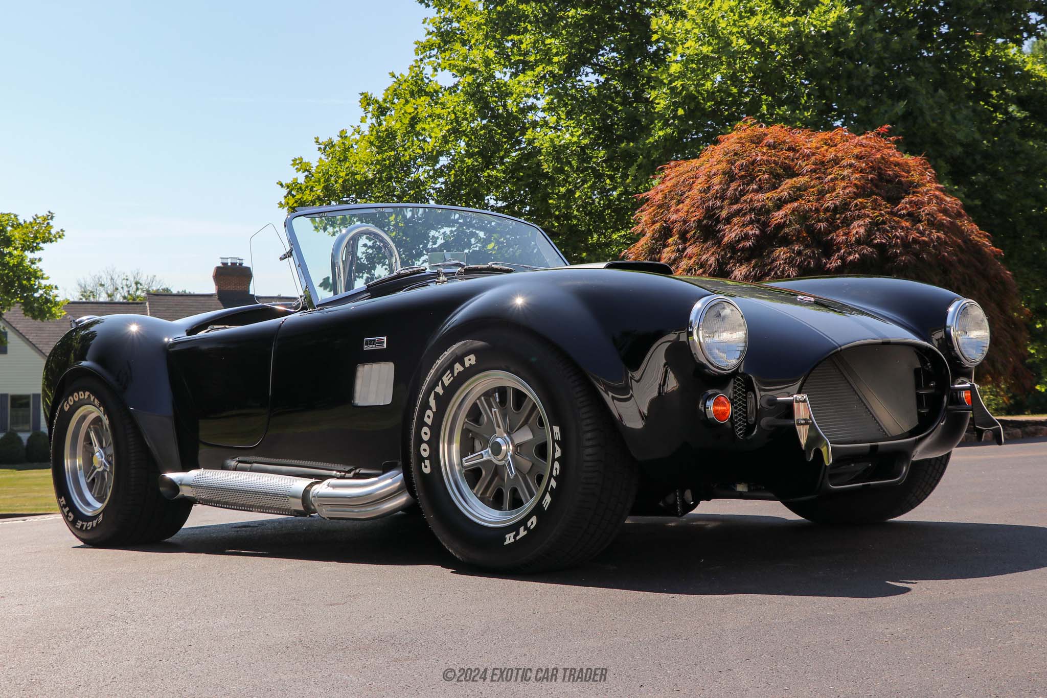1965 Shelby Cobra - Overview Photo