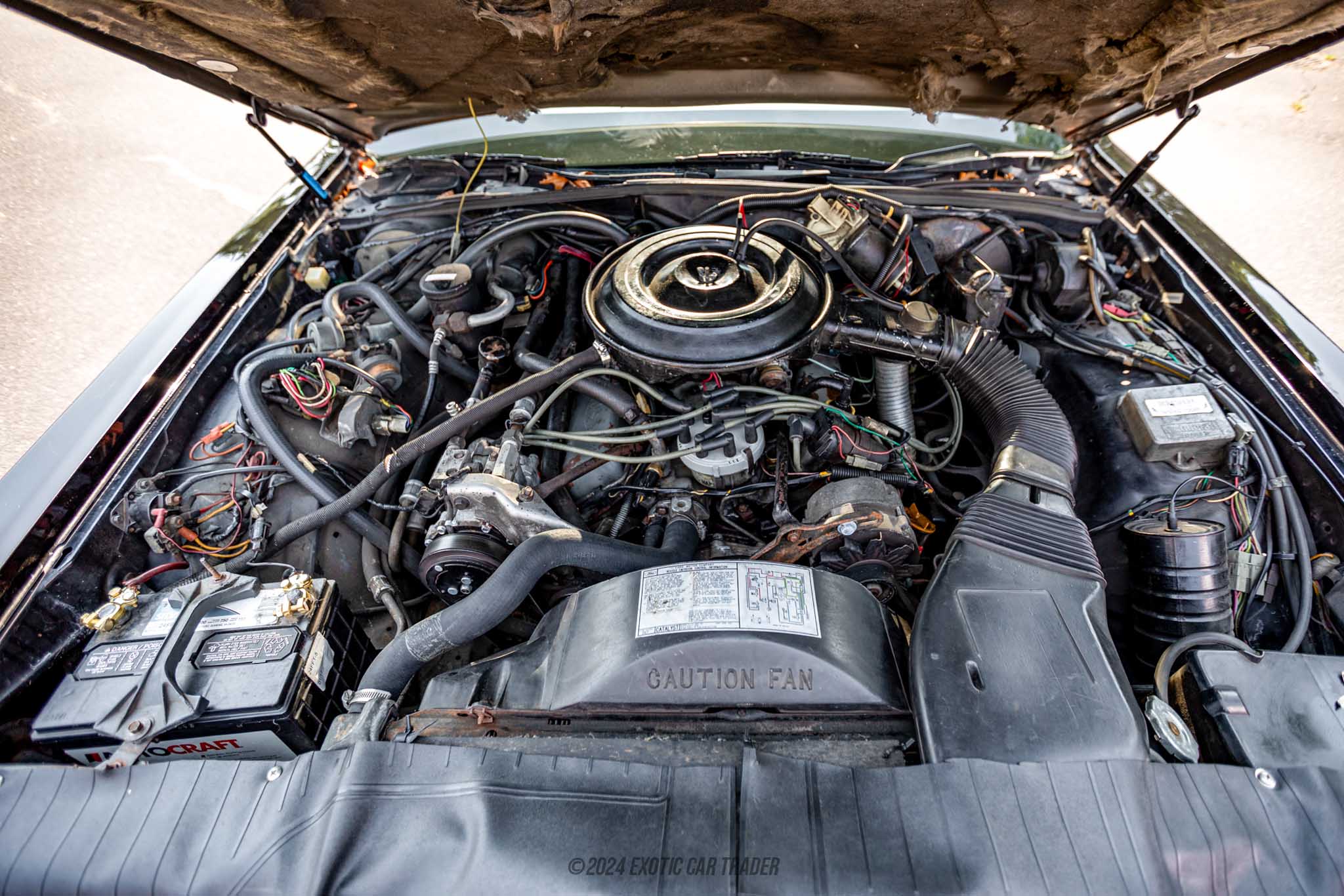 1983 Lincoln Continental - Engine Photo