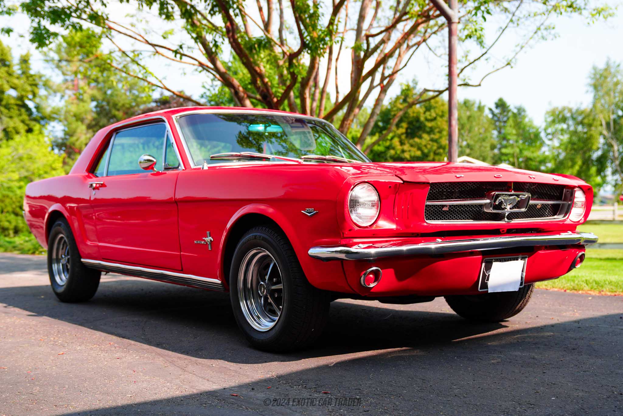 1965 Ford Mustang - Overview Photo