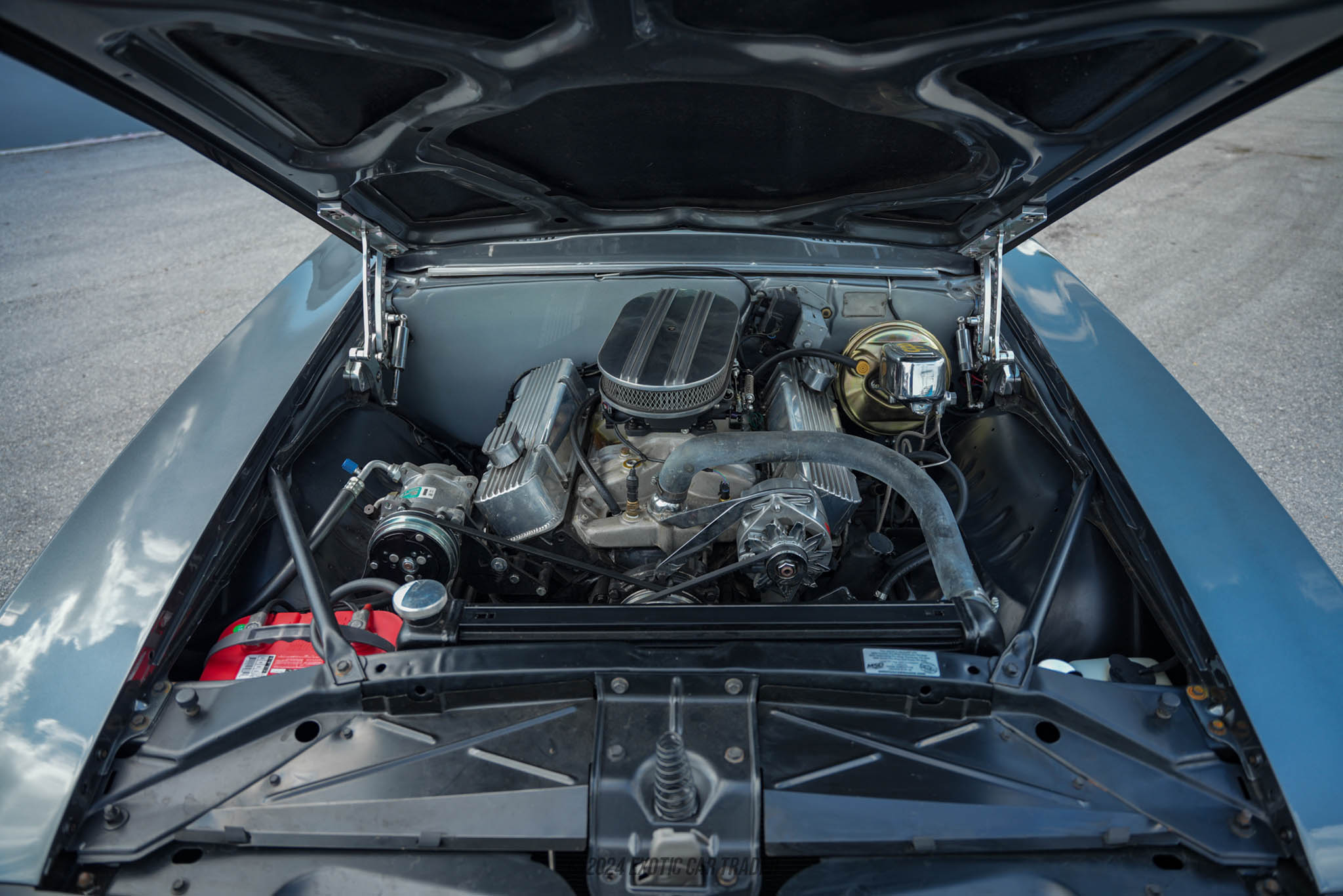 1969 Pontiac Firebird - Engine Photo