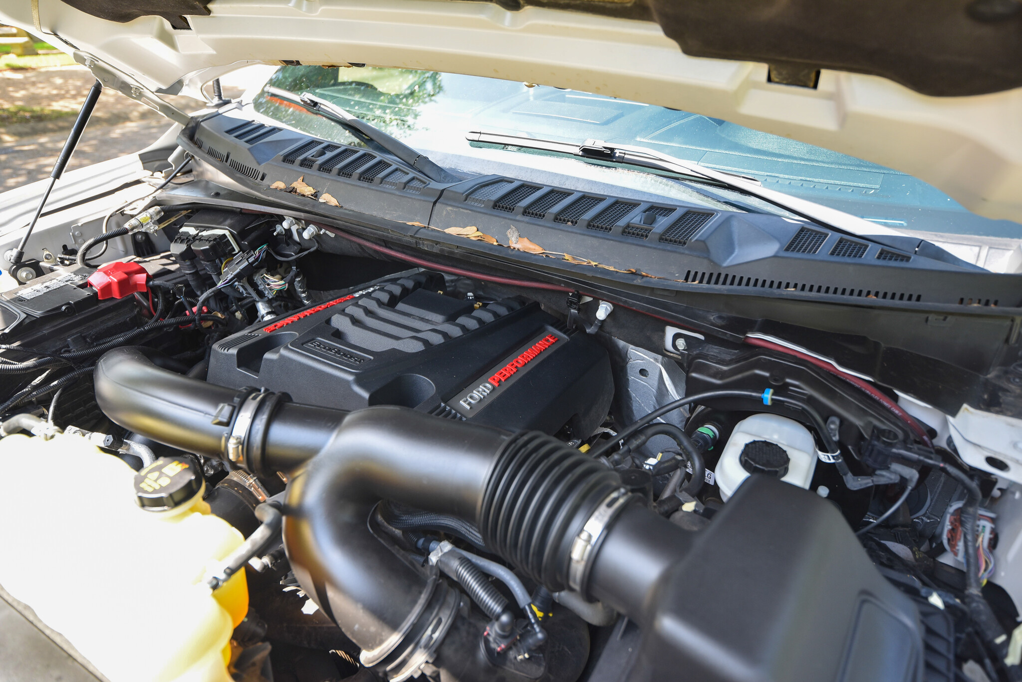 2020 Ford F-150 - Engine Photo