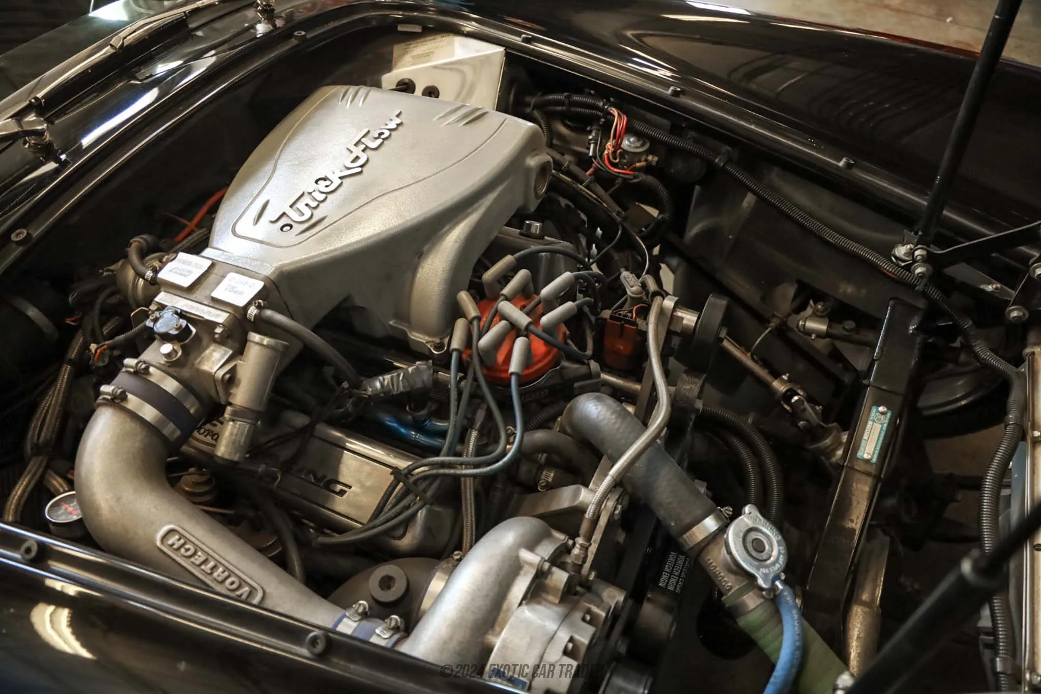 1965 Shelby Cobra - Engine Photo