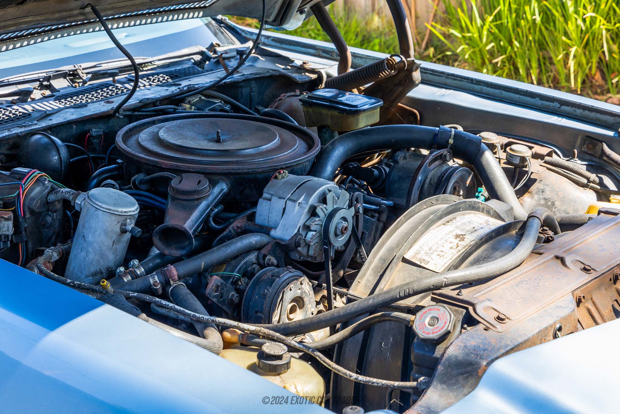 1981 Chevrolet Camaro - Engine Photo