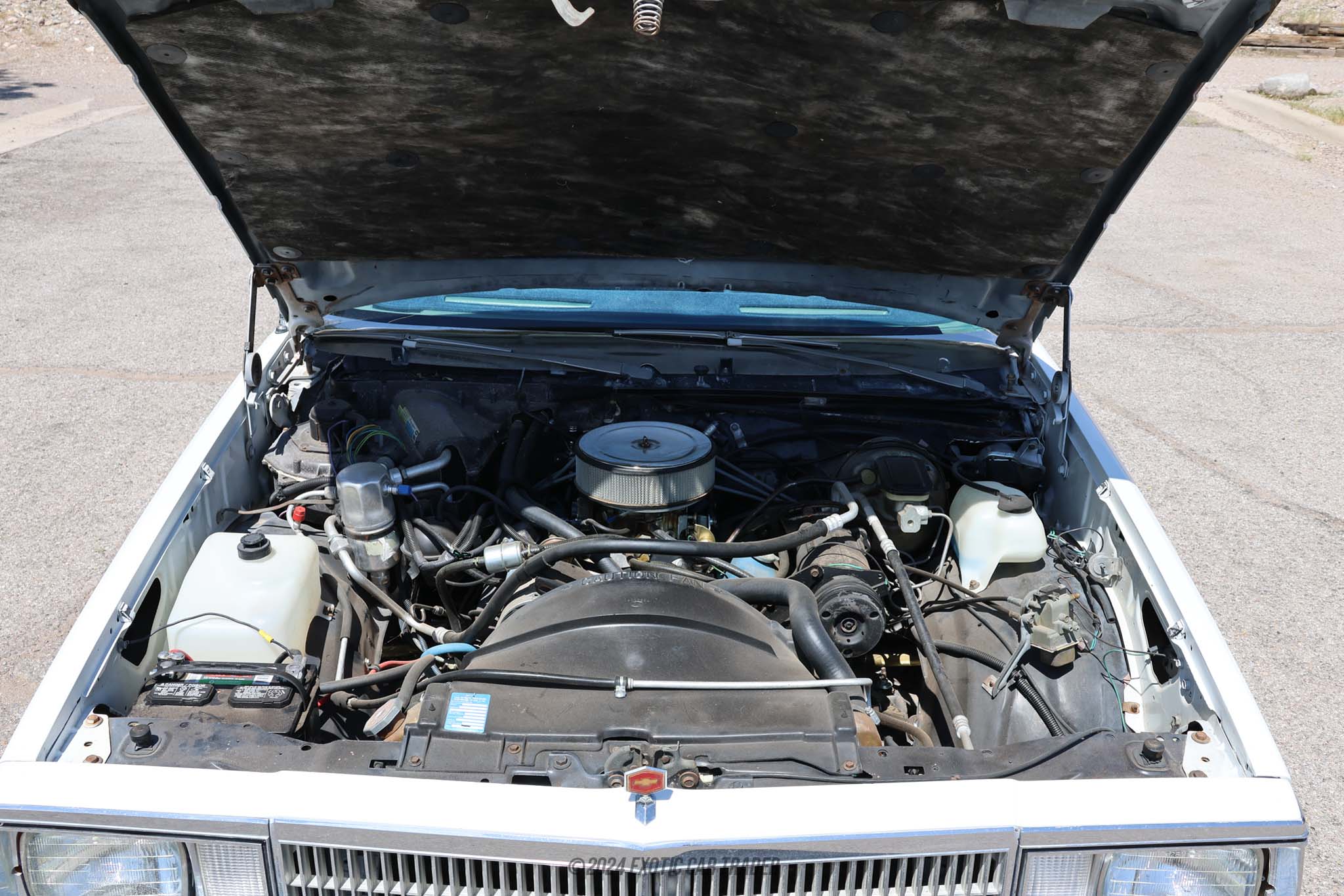 1980 Chevrolet El Camino - Engine Photo