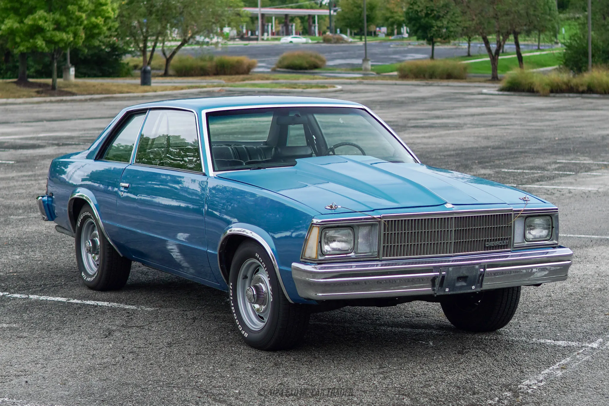 1980 Chevrolet Malibu - Overview Photo