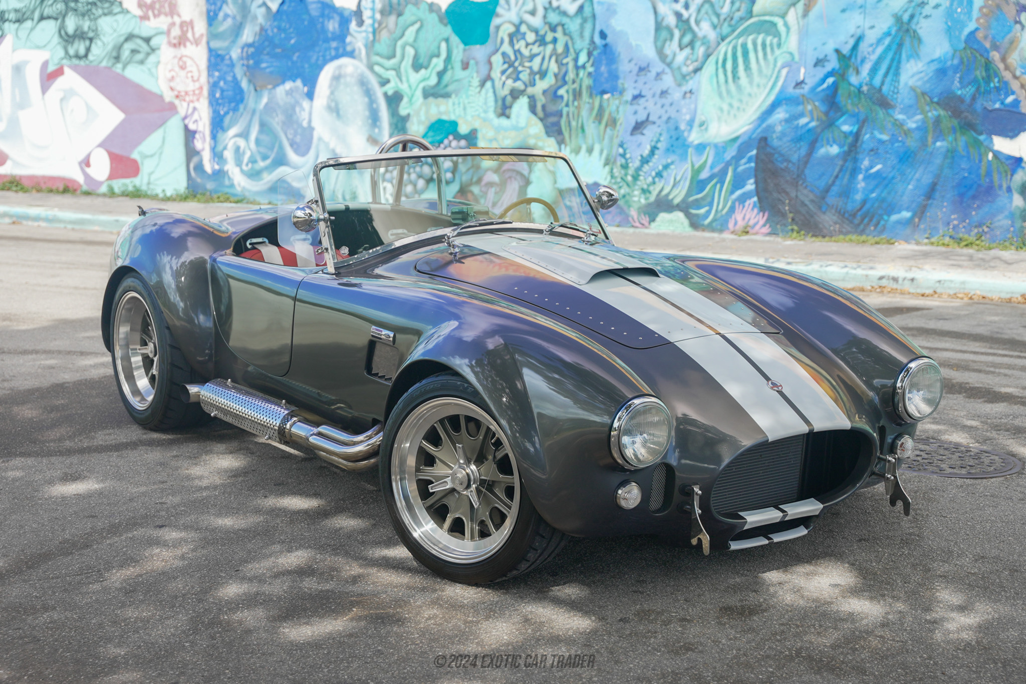 1965 Shelby Cobra - Overview Photo