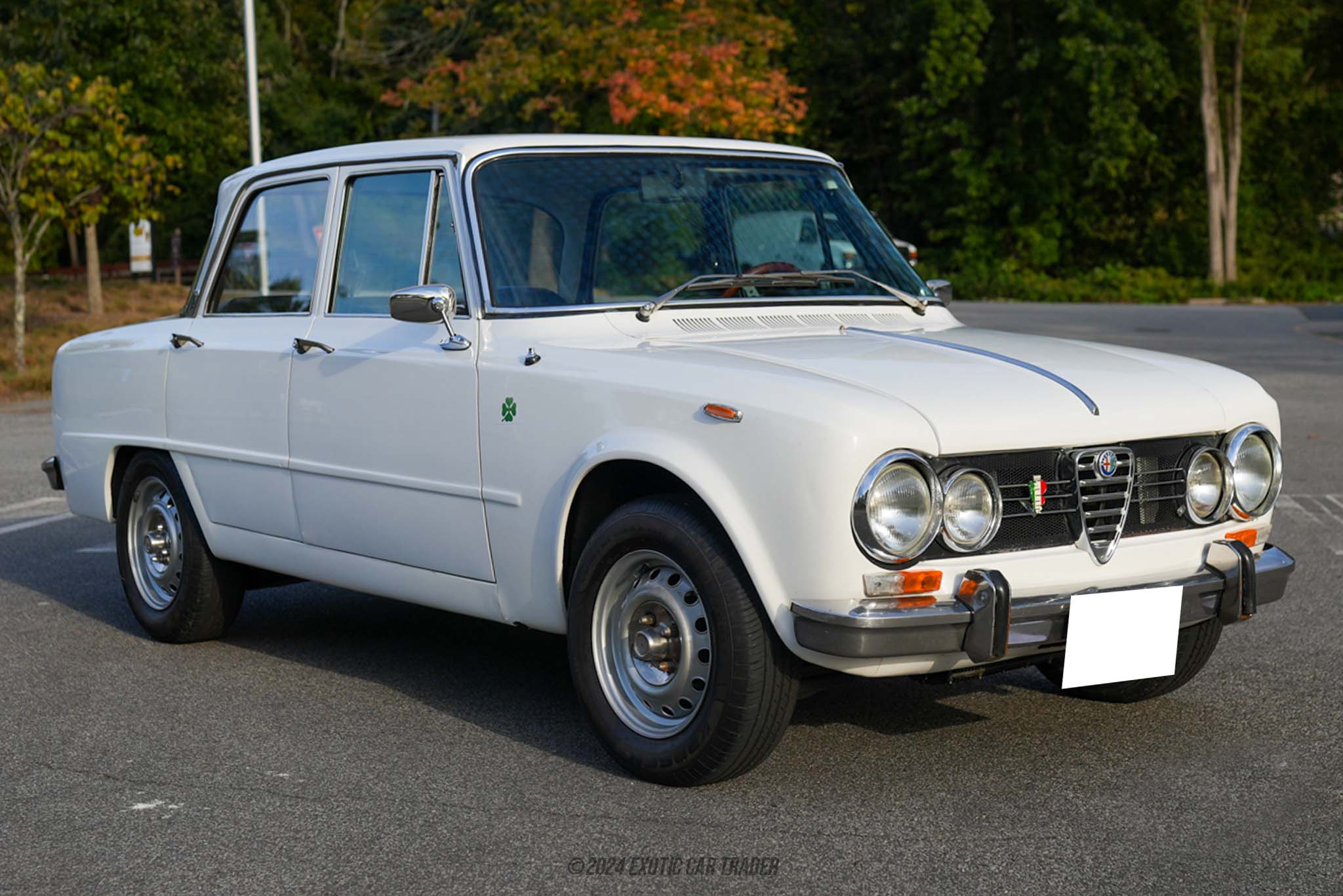 1971 Alfa Romeo Giulia - Overview Photo