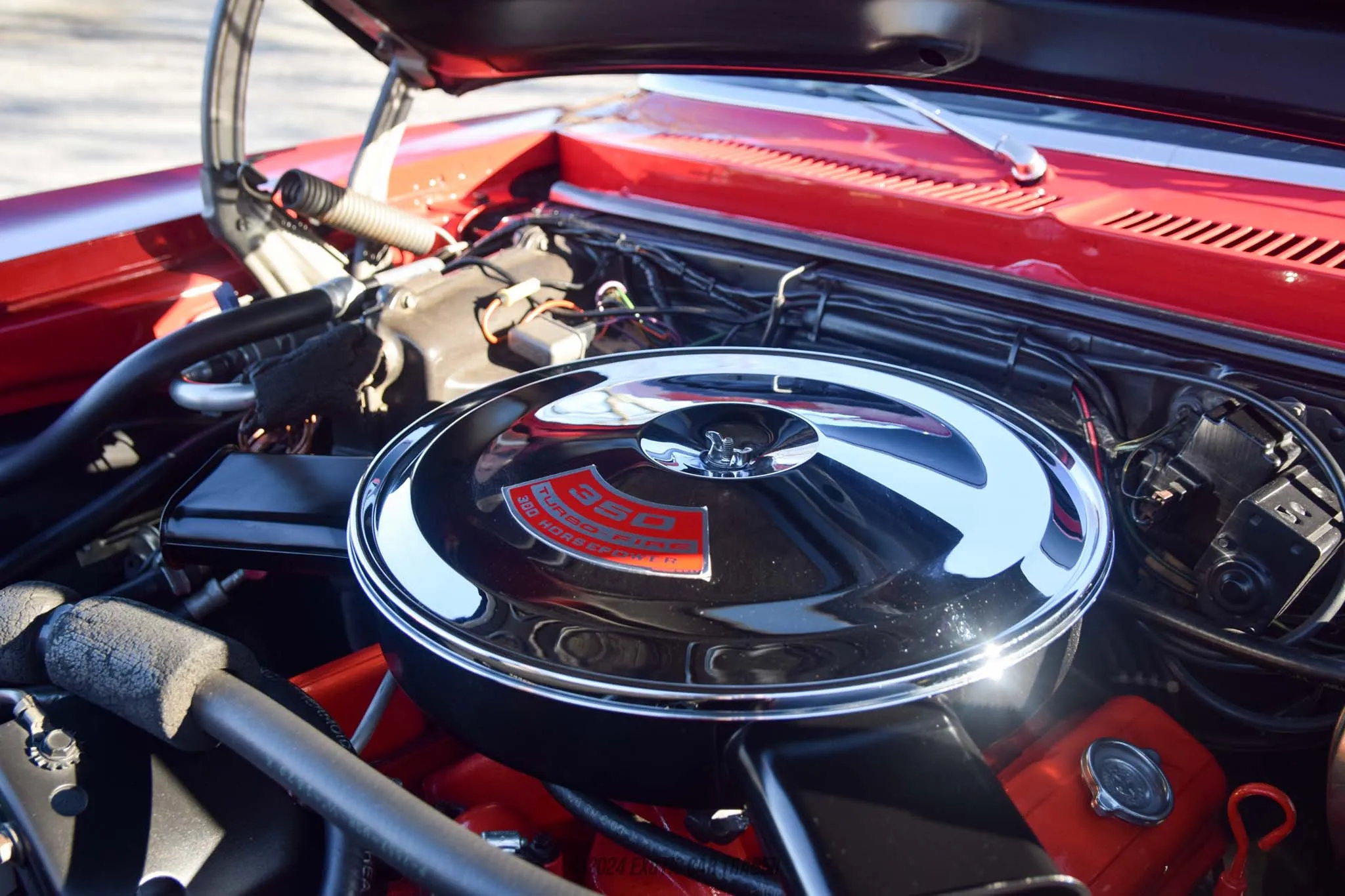1970 Chevrolet Nova - Engine Photo