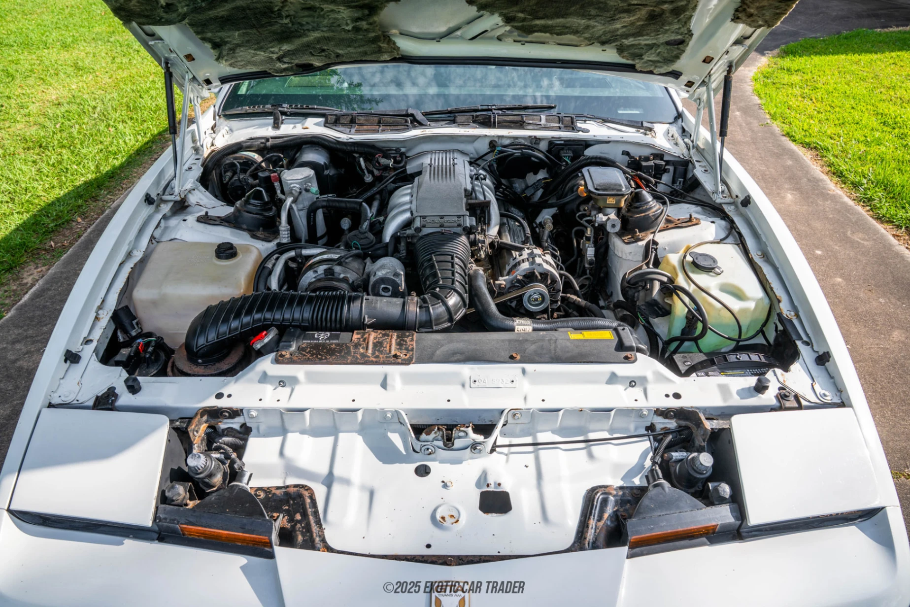 1989 Pontiac Firebird - Engine Photo