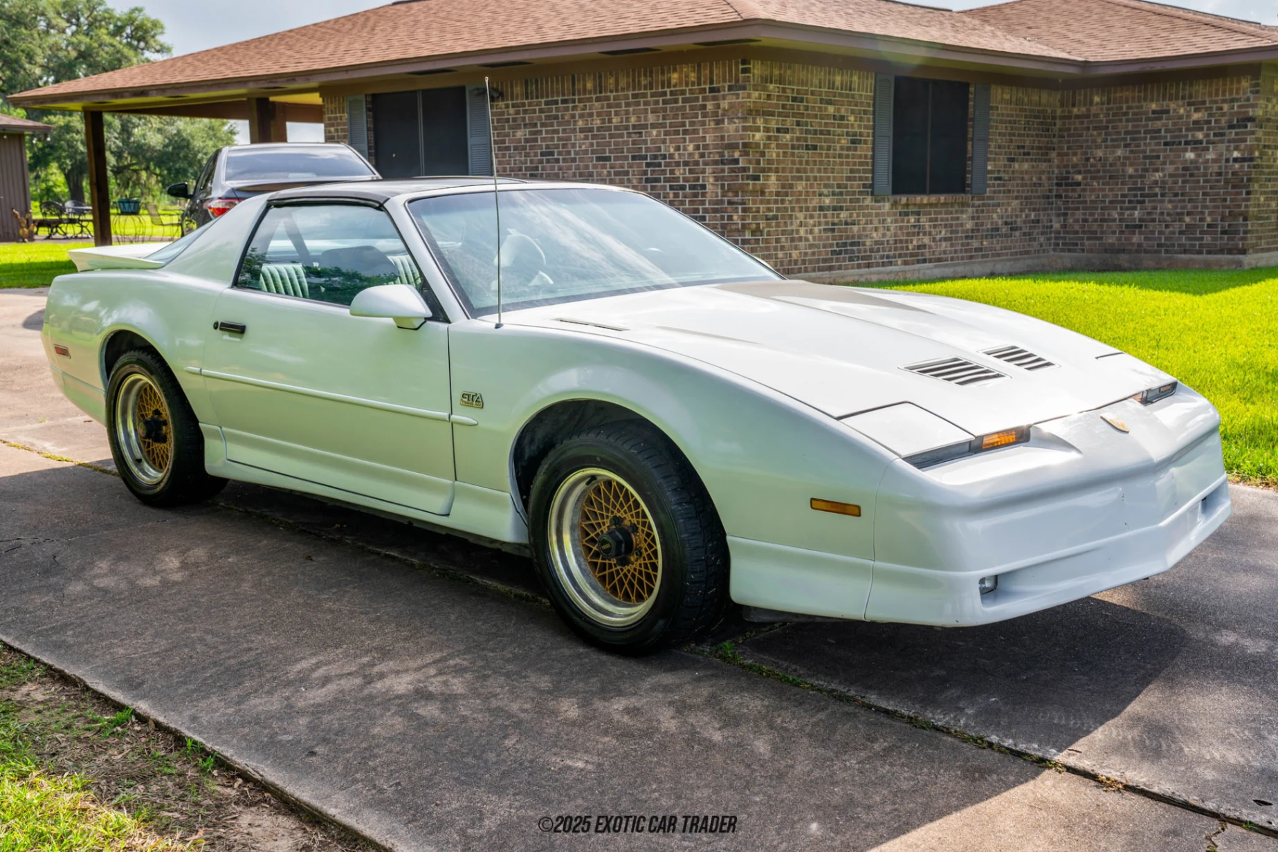 1989 Pontiac Firebird - Overview Photo