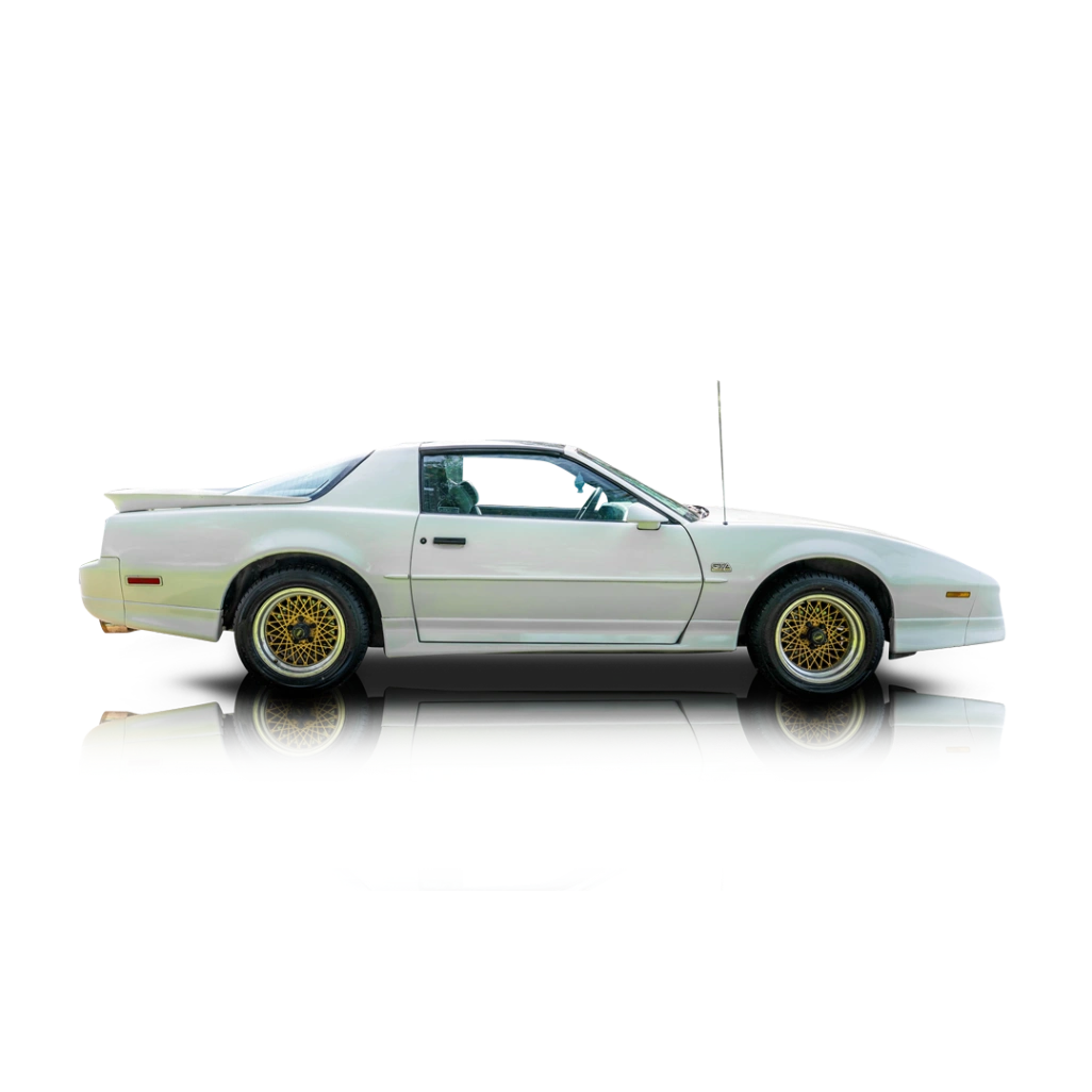1989 Pontiac Firebird - Passenger side