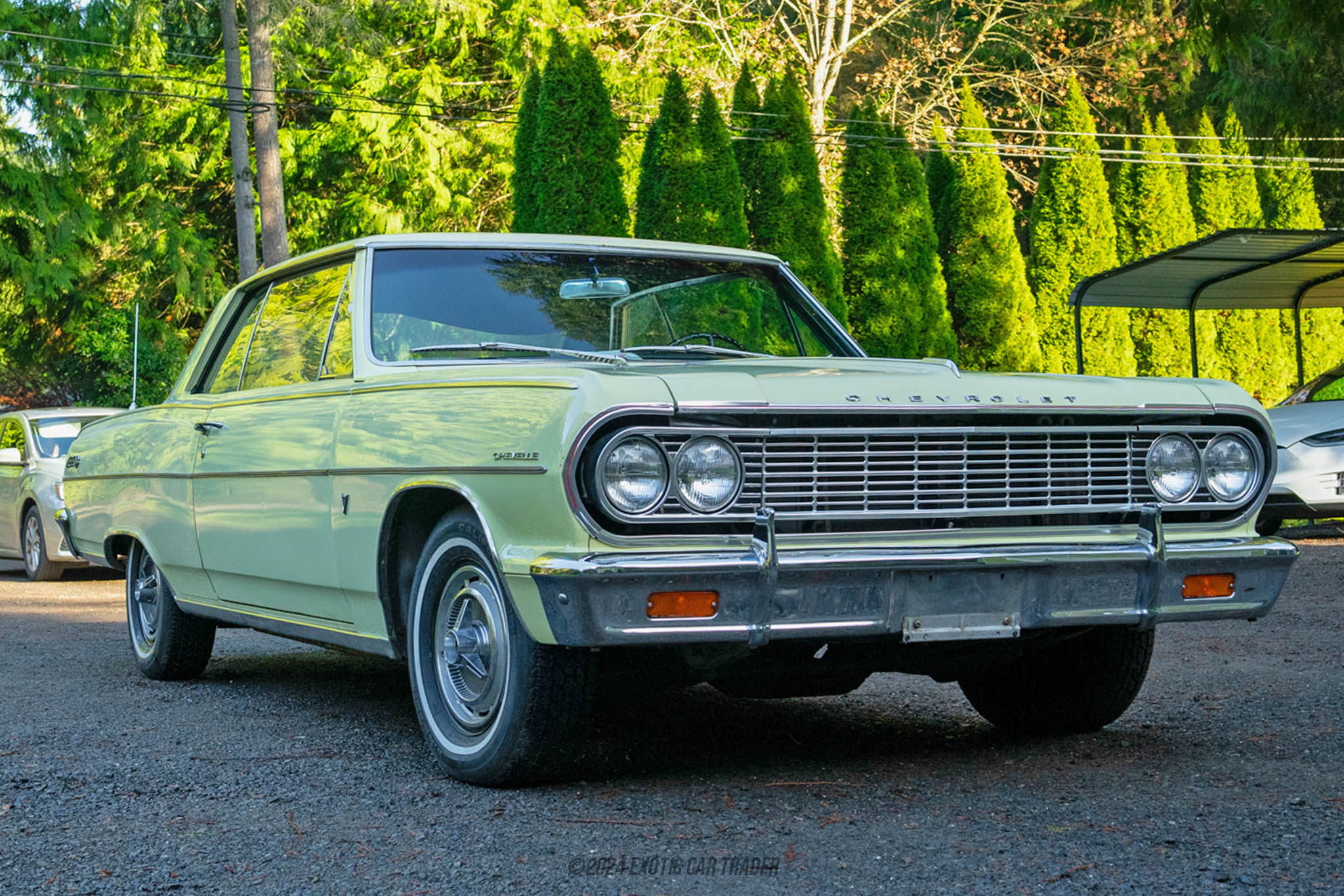 1964 Chevrolet Chevelle - Overview Photo