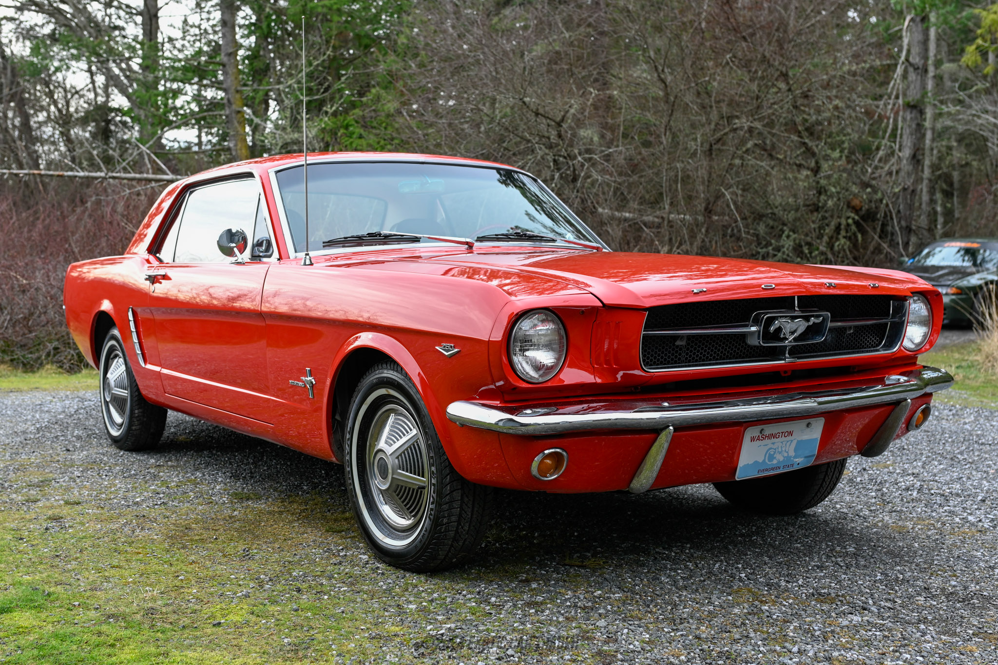 1965 Ford Mustang - Overview Photo