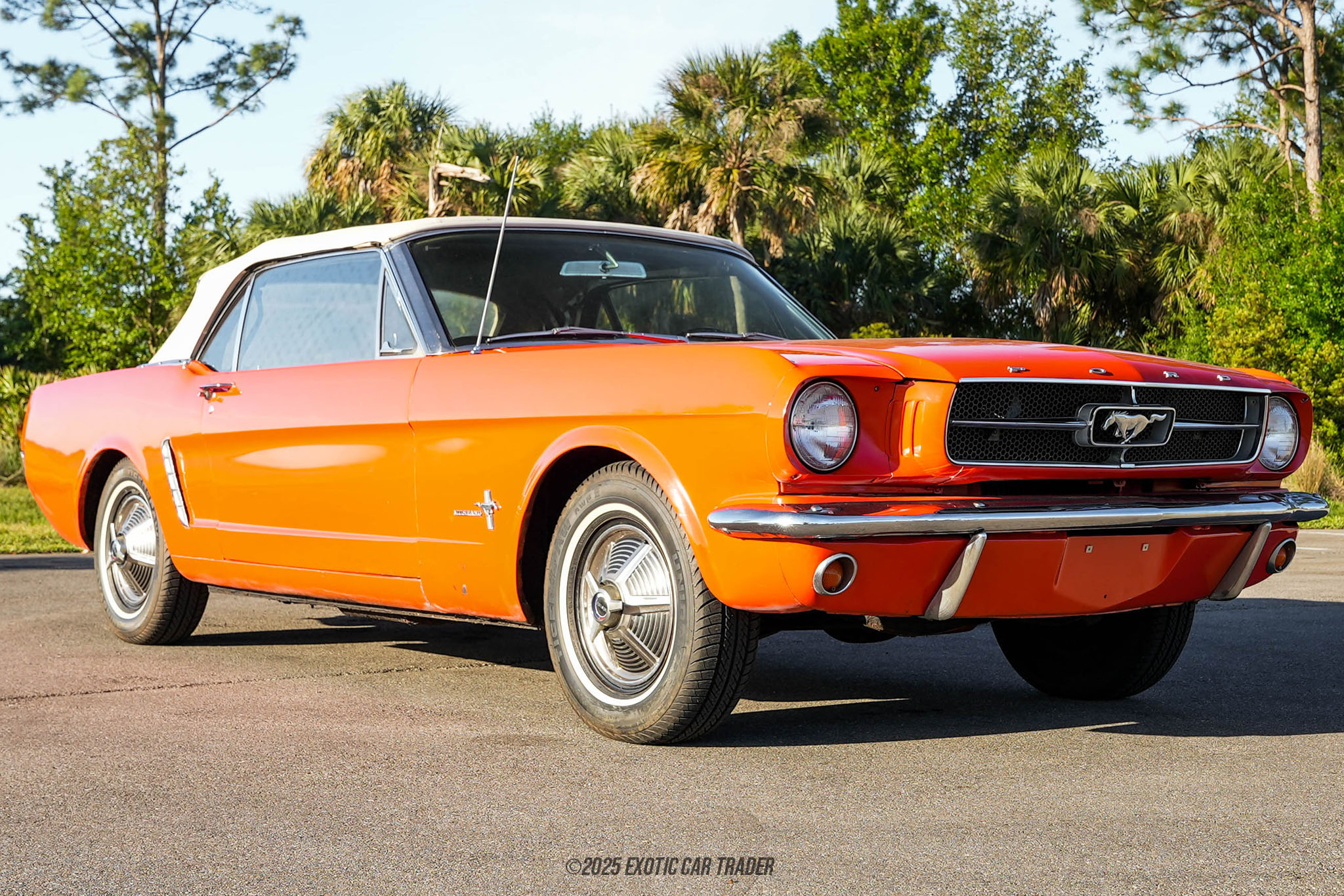 1965 Ford Mustang - Overview Photo
