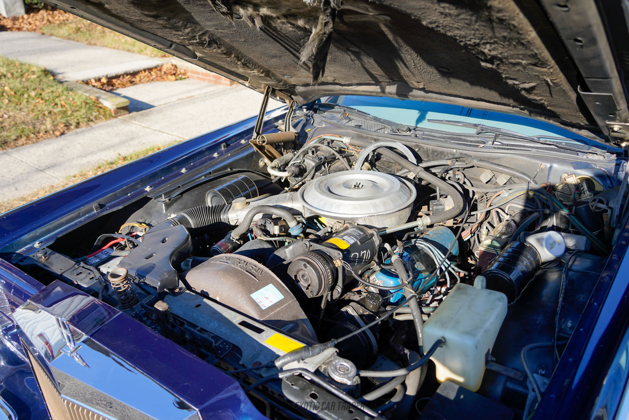 1979 Lincoln Continental - Engine Photo