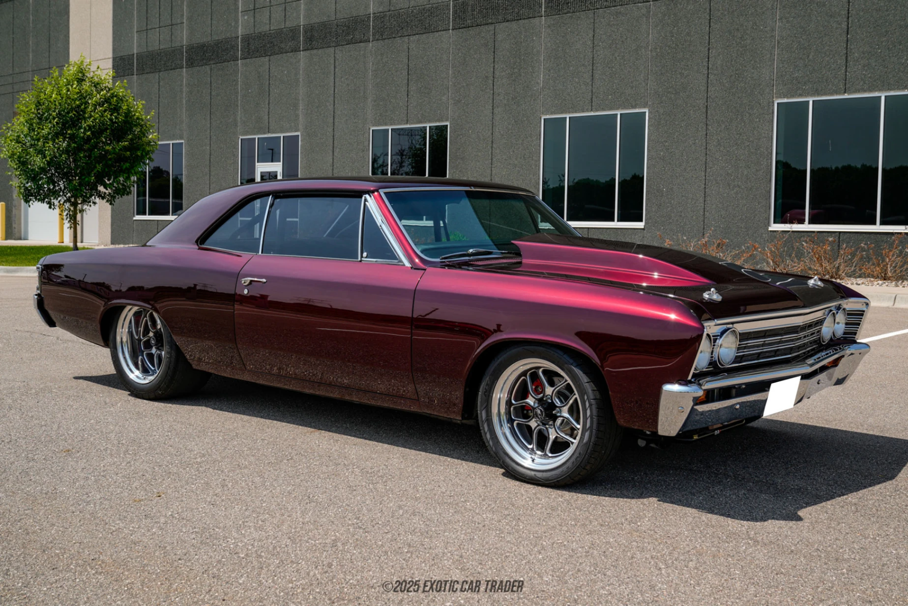 1967 Chevrolet Chevelle - Overview Photo