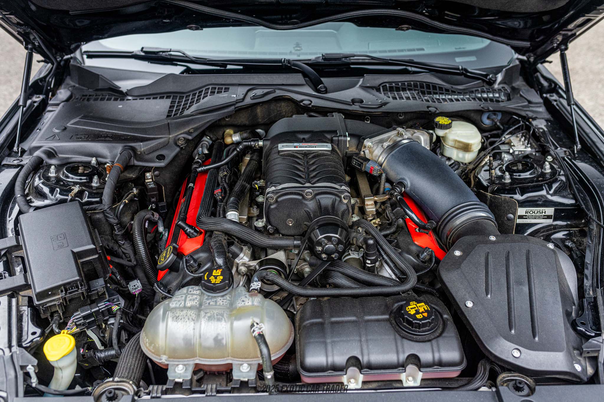 2017 Ford Mustang GT  - Engine Photo