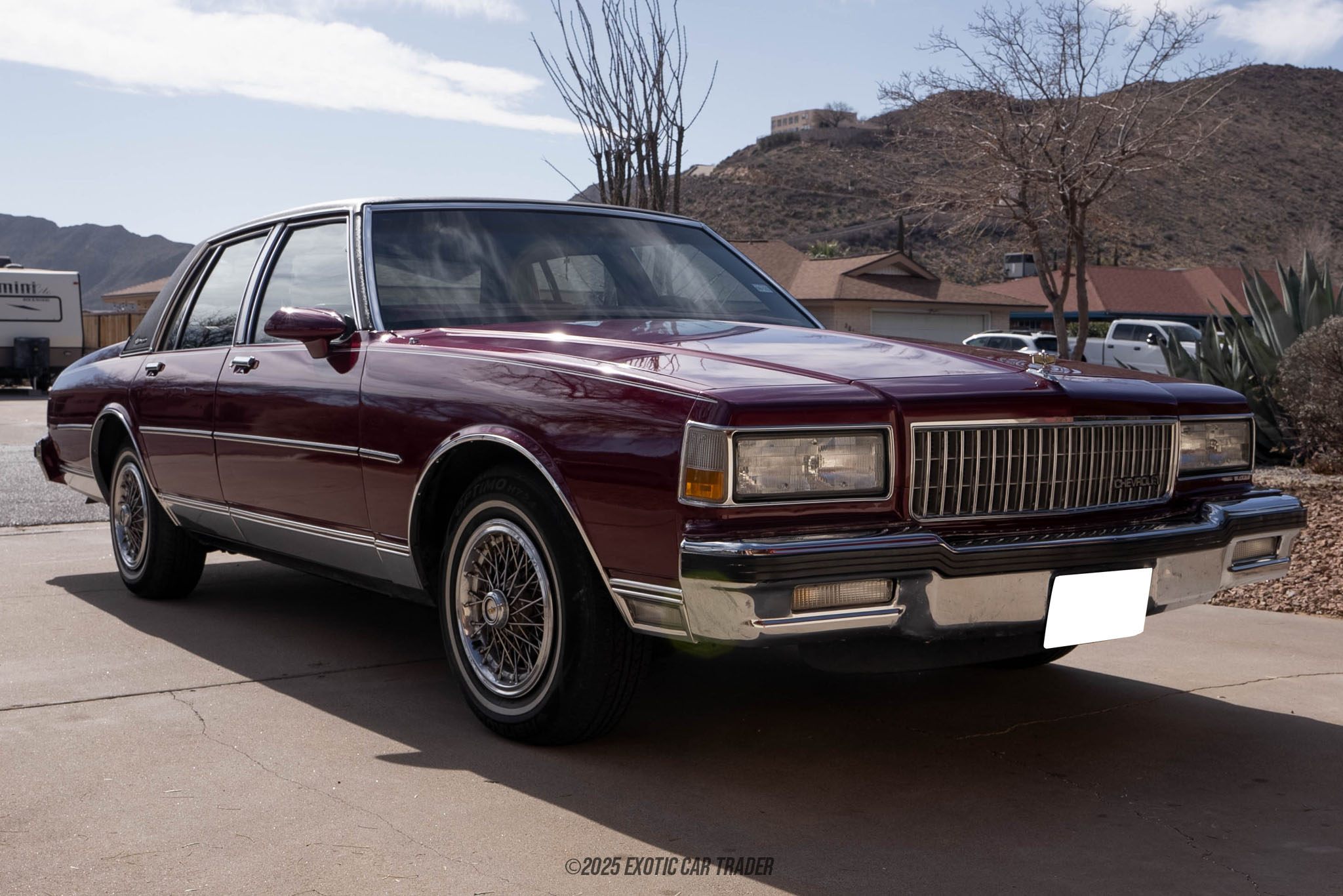 1989 Chevrolet Caprice - Overview Photo