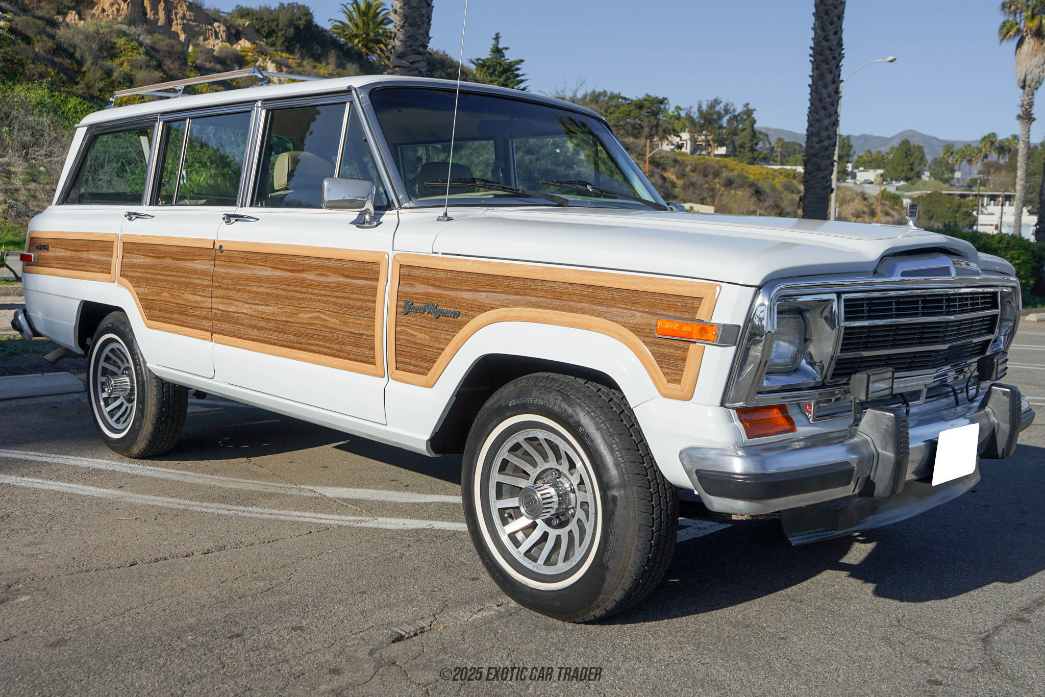 1991 Jeep Grand Wagoneer - Overview Photo