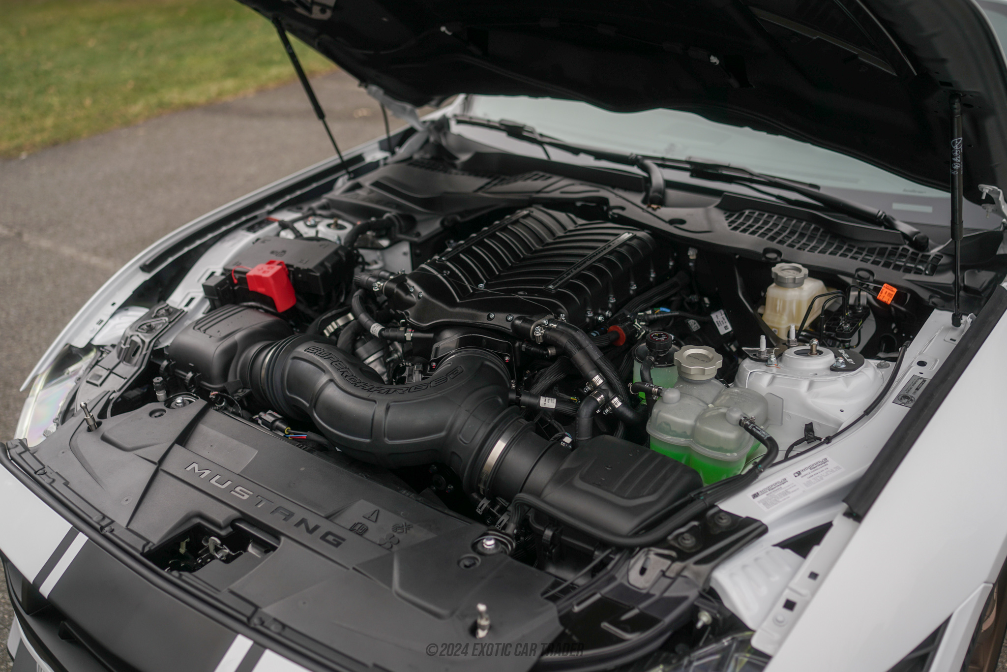 2024 Ford Mustang - Engine Photo