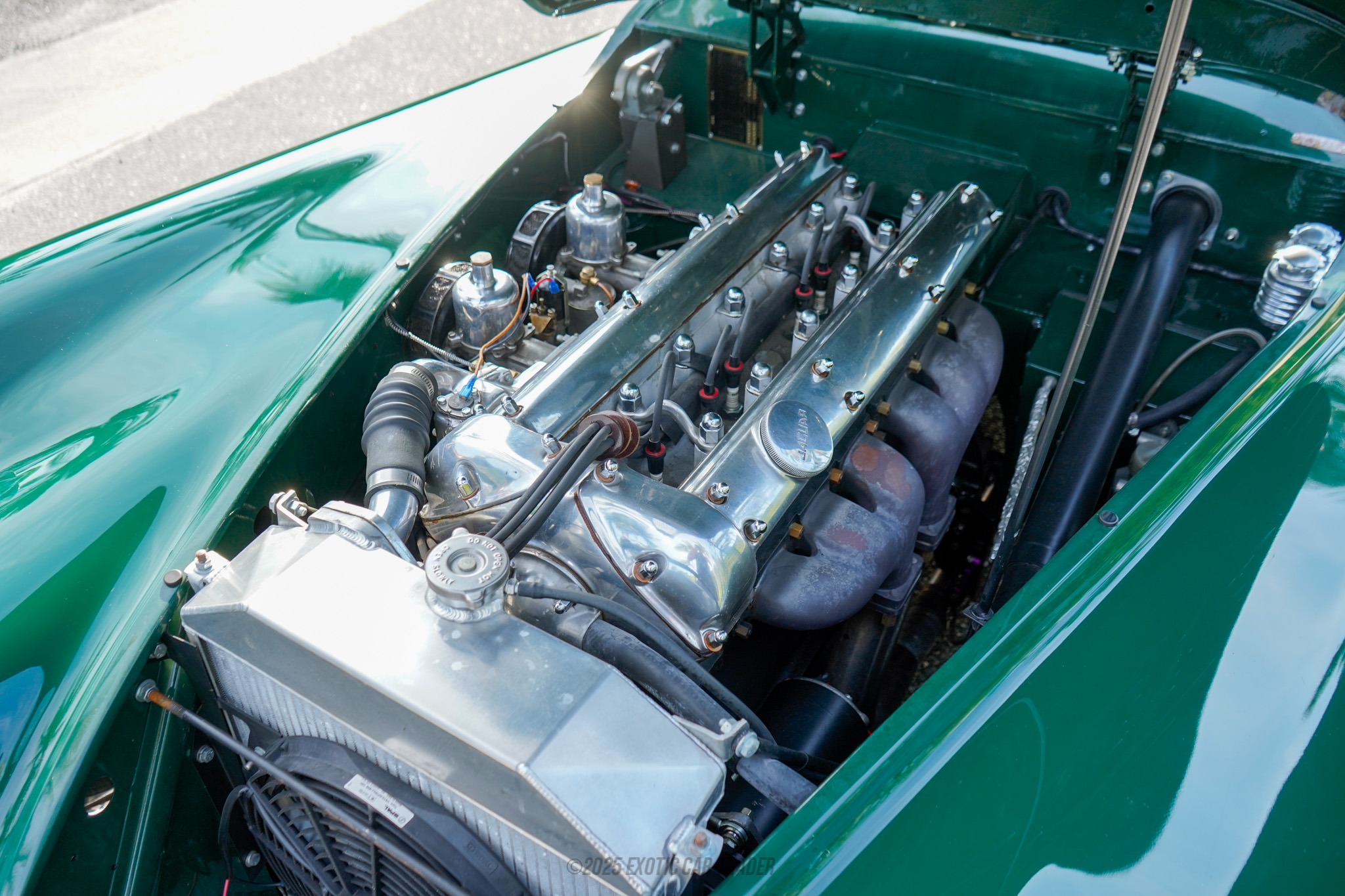 1953 Jaguar XK120 - Engine Photo