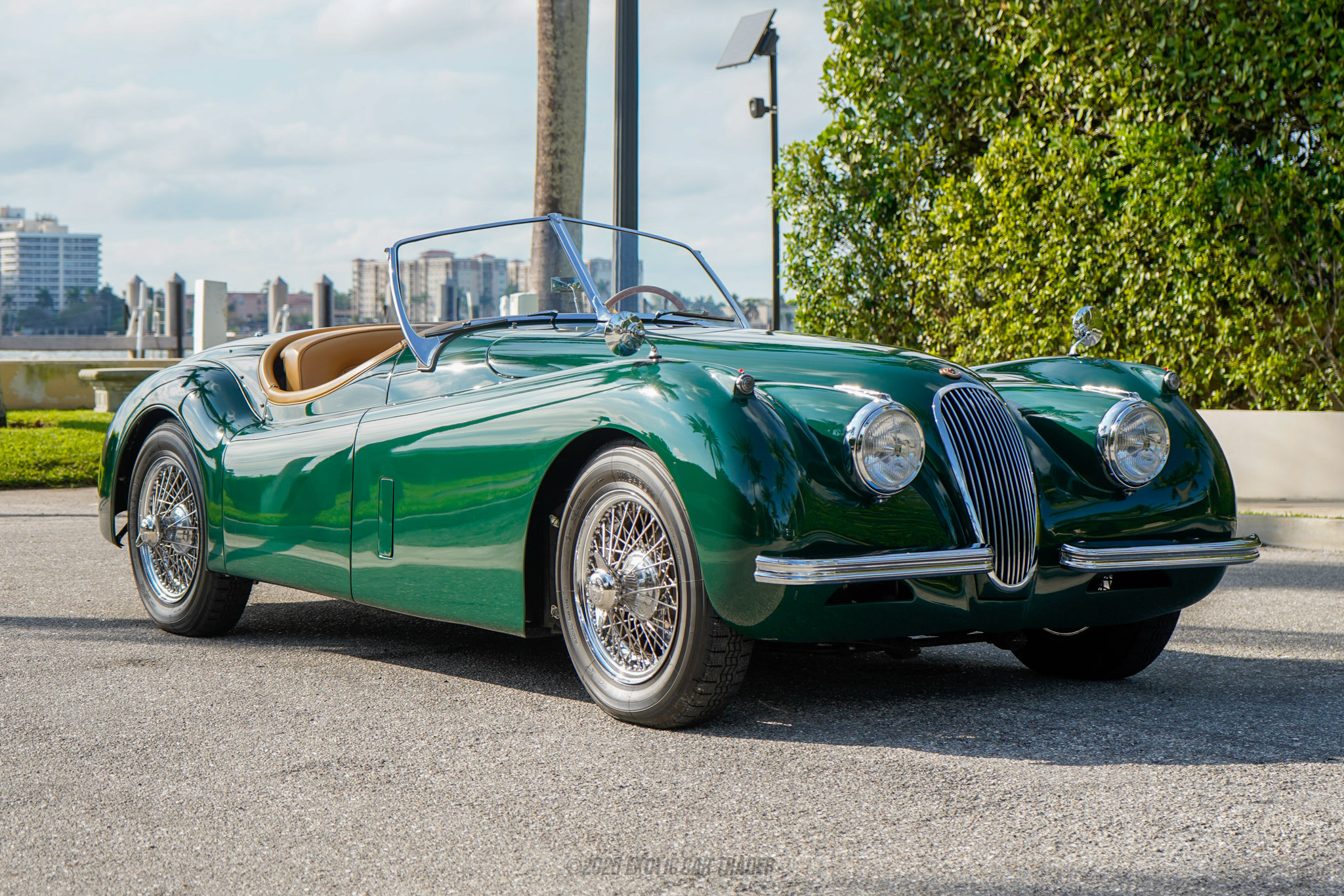 1953 Jaguar XK120 - Overview Photo