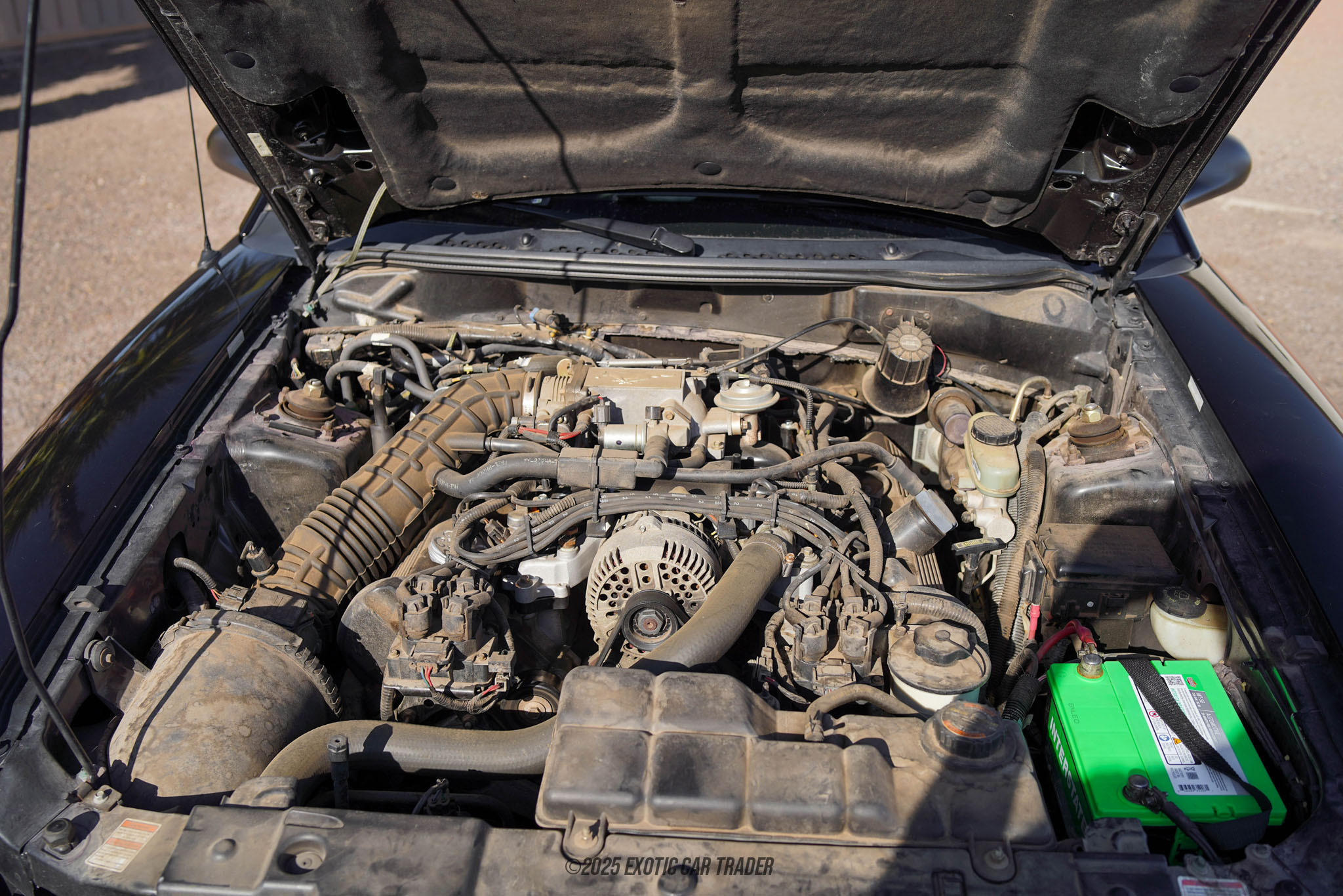 1998 Ford Mustang - Engine Photo