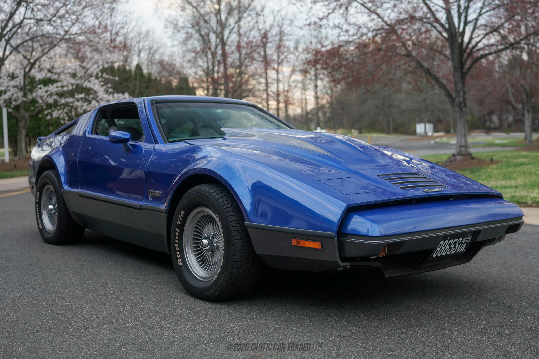 (新品)格安価格4/4フルサイズ バイオリン Astonvilla AV-590 1975 Bricklin SV-1 for Sale | Exotic Car Trader (Lot #250331742)
