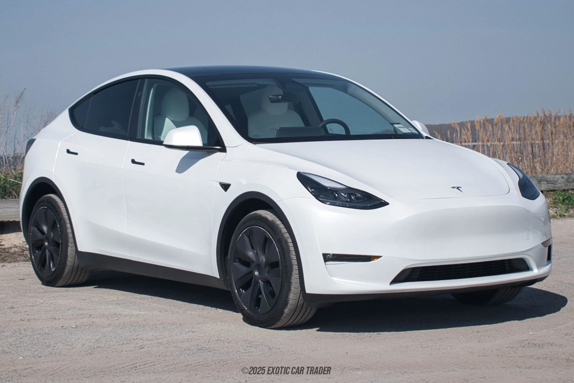 2025 Tesla Model Y - Overview Photo