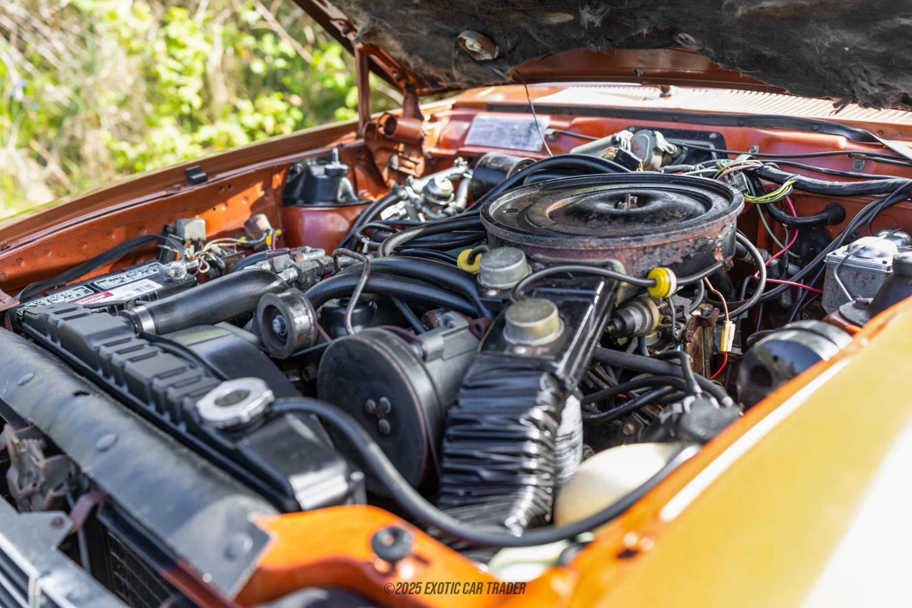 1981 AMC Concord - Engine Photo
