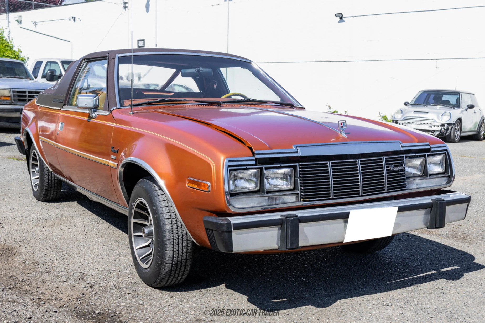 1981 AMC Concord - Overview Photo