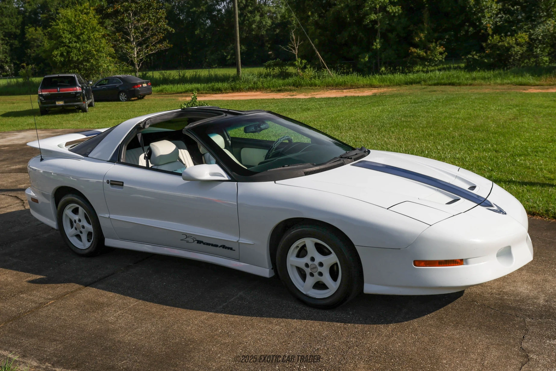 1994 Pontiac Firebird - Overview Photo