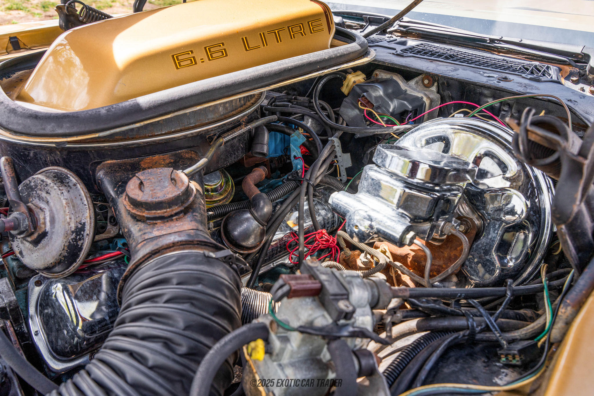 1979 Pontiac Firebird - Engine Photo
