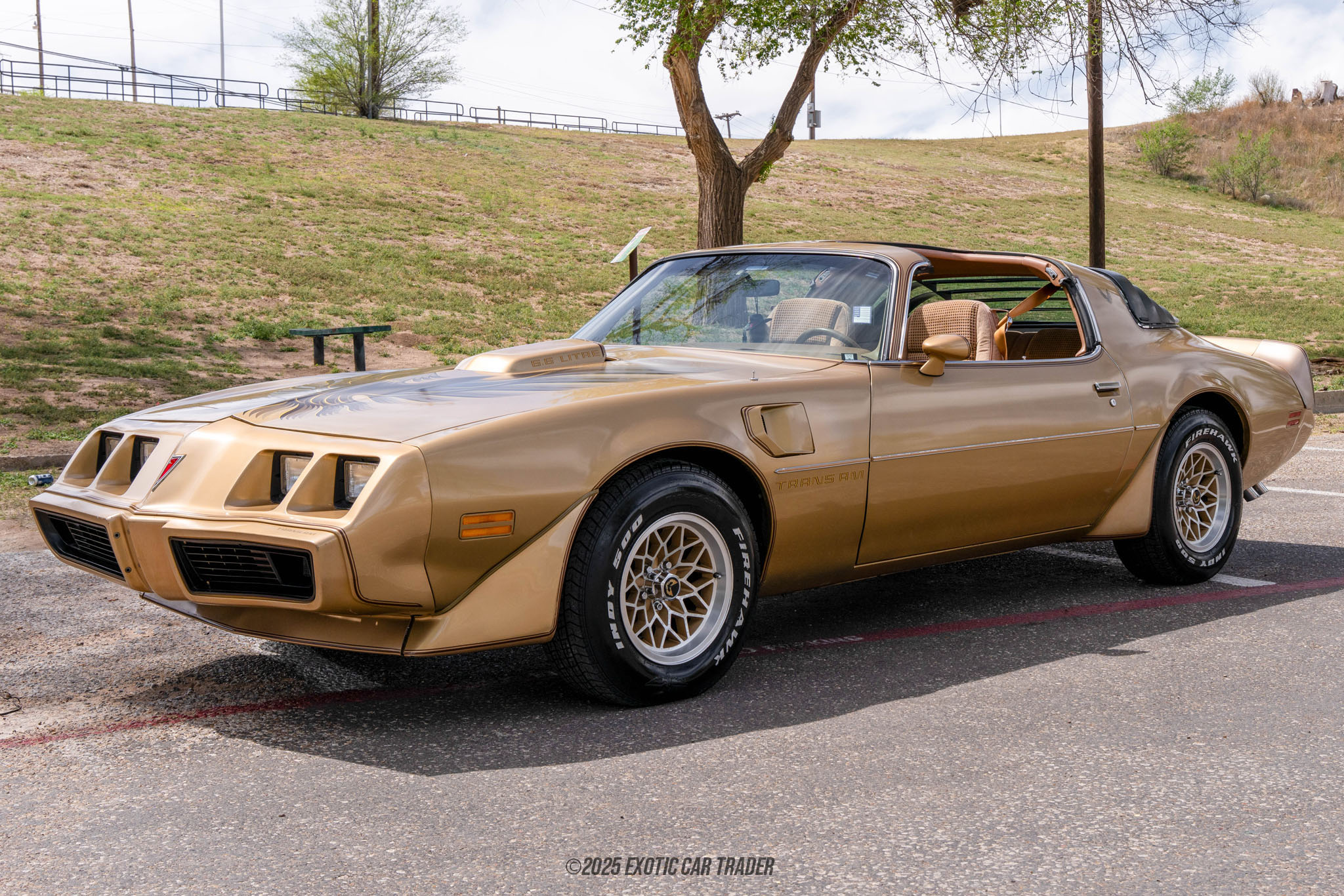 1979 Pontiac Firebird Trans Am for Sale | Exotic Car Trader (Lot ...